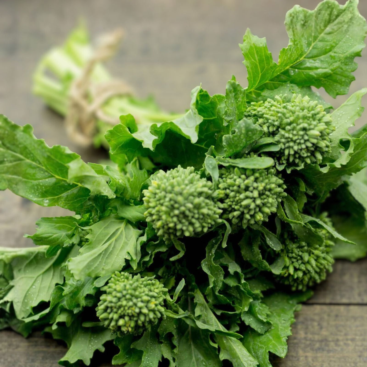 Broccoli Raab Seeds - 25+ Heirloom Seeds for Culinary Use - Brassica rapa subsp. rapa - Edible Leafy Greens, Gourmet Vegetable