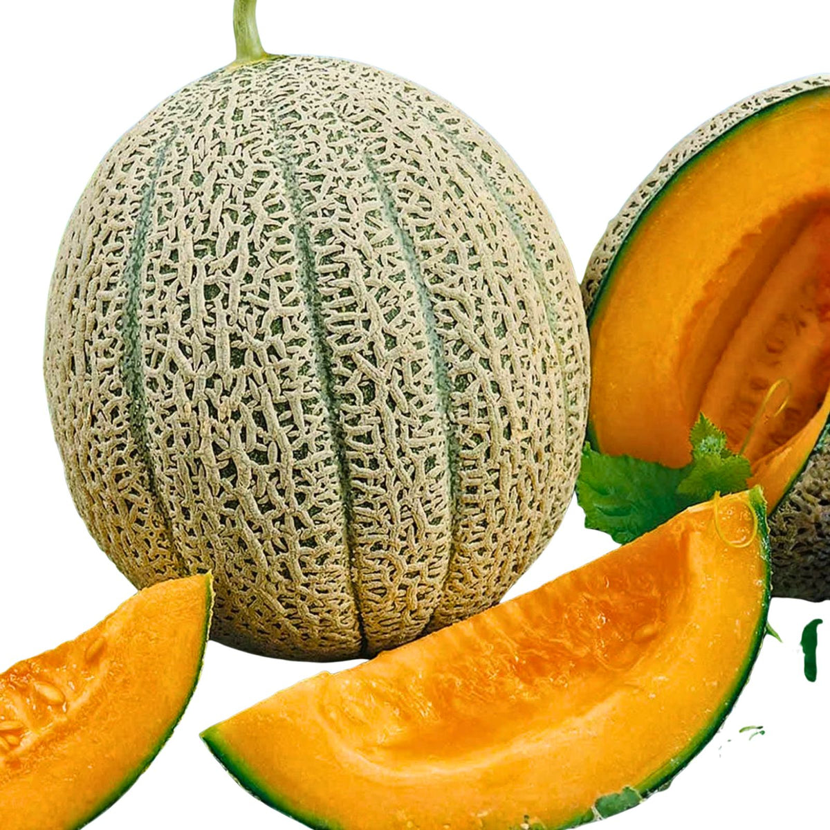 Cantaloupe Seeds 100 Non-GMO Organic Hales Best Jumbo Heirloom Cucumis melo for Gardening and Planting