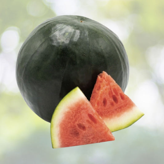 Florida Giant Watermelon Seeds | Heirloom NON-GMO | Citrullus lanatus Garden Seeds