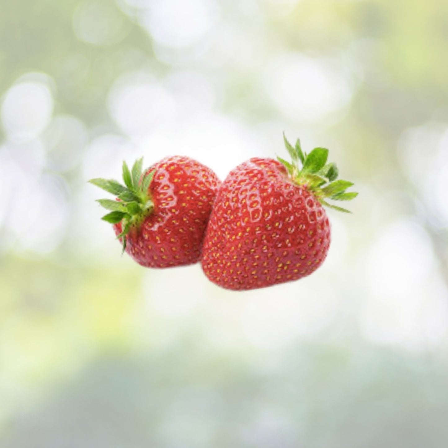 Red Strawberry Seeds - 100+ Pack - Big Flesh Fruit - Perennial - Container Garden - USA