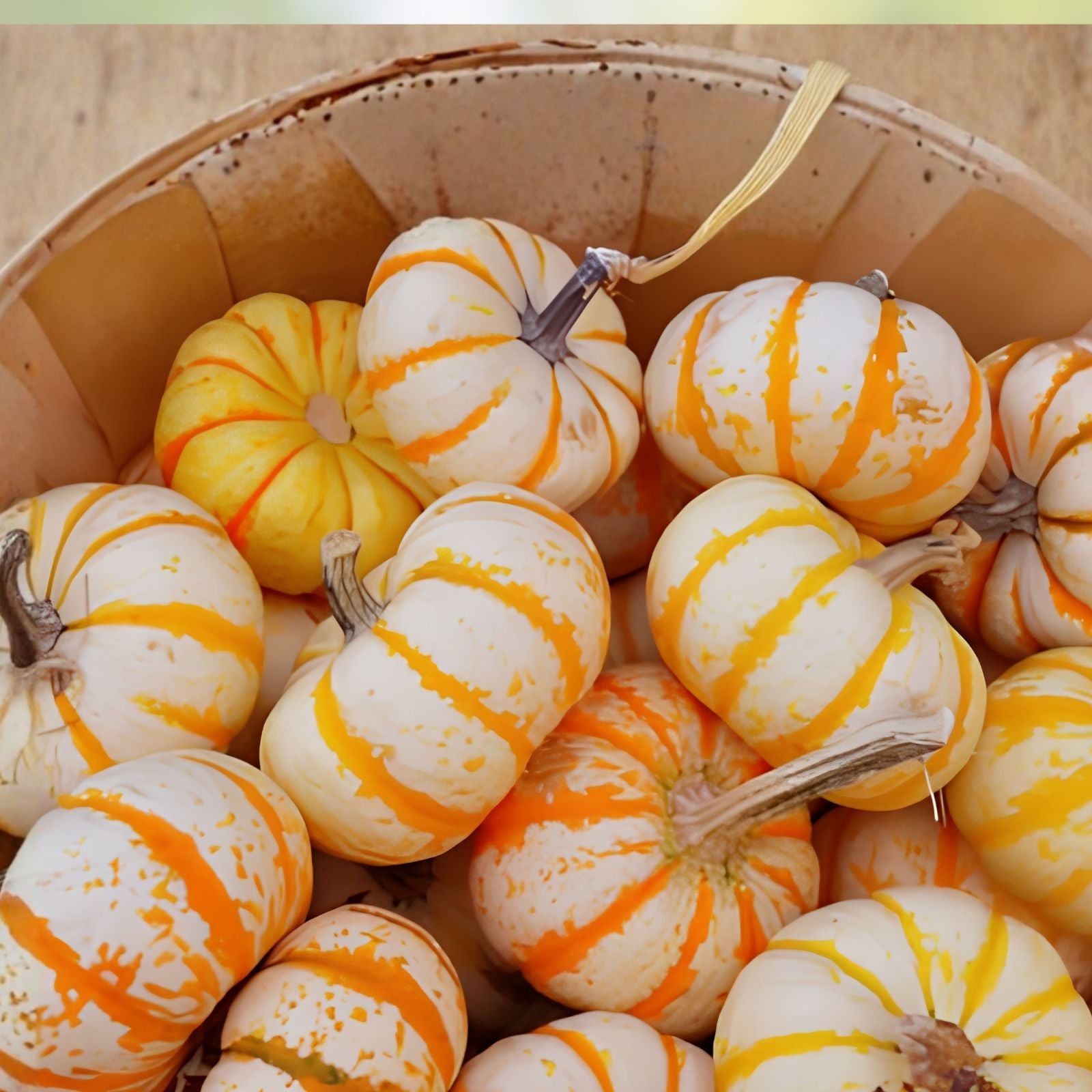 Dwarf Tiger Striped Gourd Seeds - 10 Rare Vegetable Seeds - Cucurbita pepo - Unique Ornamental and Edible Gourds