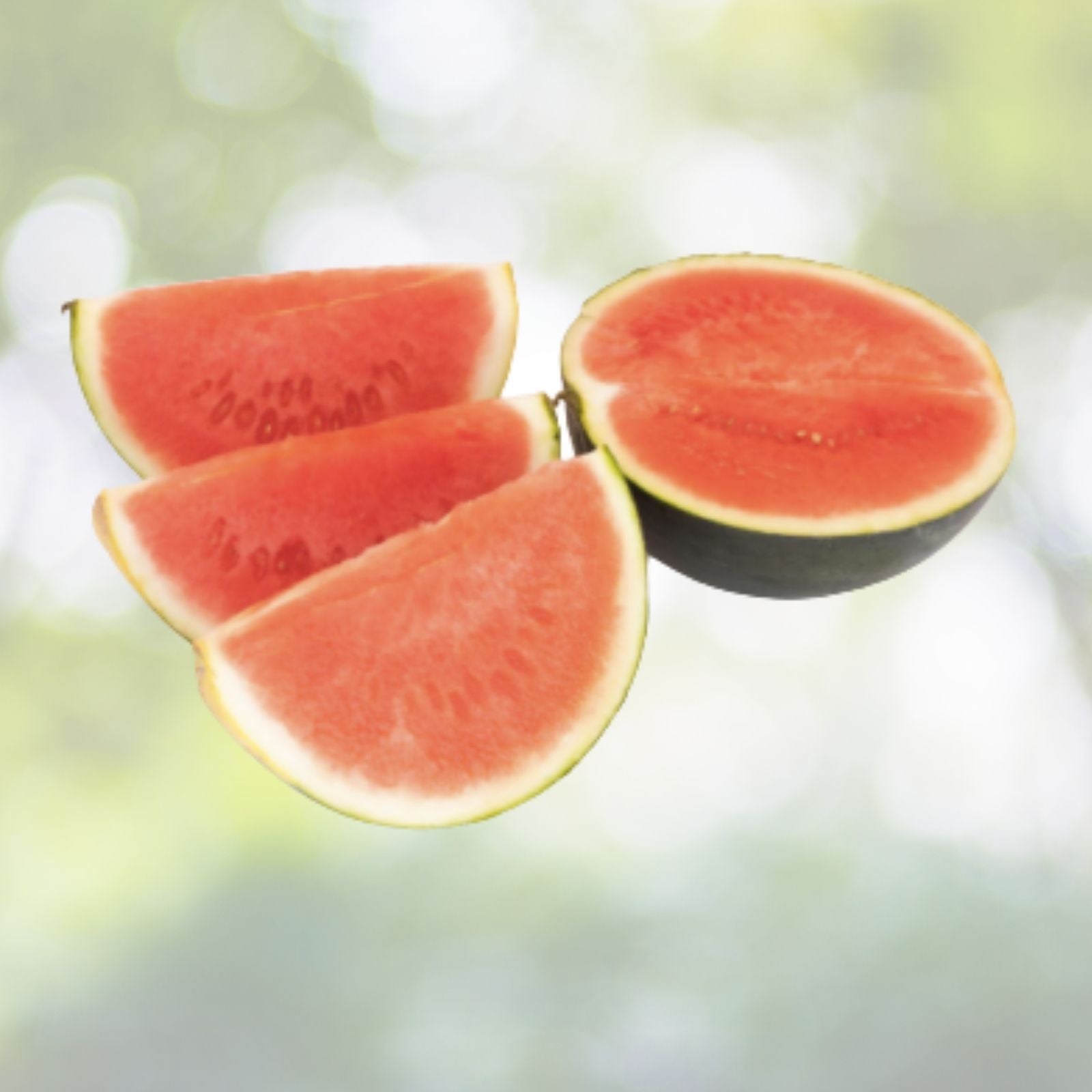 Sugar Baby Watermelon Seeds - Heirloom NON-GMO 50+ Seeds - Citrullus lanatus