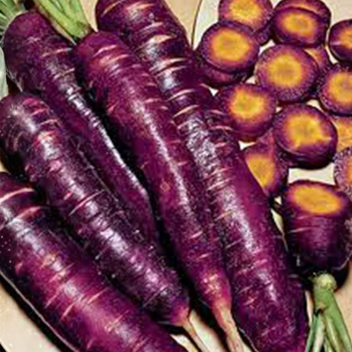 Purple Haze Carrot Seeds – 1000+ Non-GMO Hybrid Seeds, Tasty Sweet Flavor, Daucus carota, Organic Vegetable Seeds
