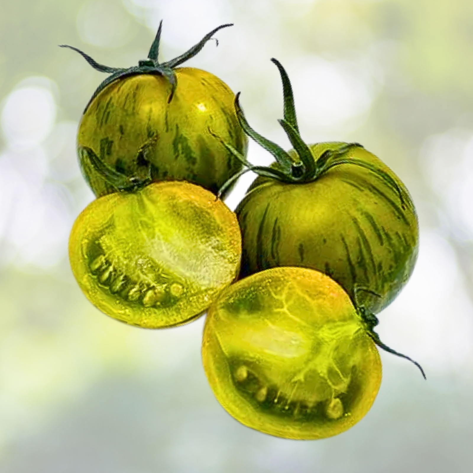 Tomato Seeds - 50 Pack - Green Zebra Heirloom - Sweet & Zingy - Non-GMO - Indeterminate (Solanum lycopersicum)