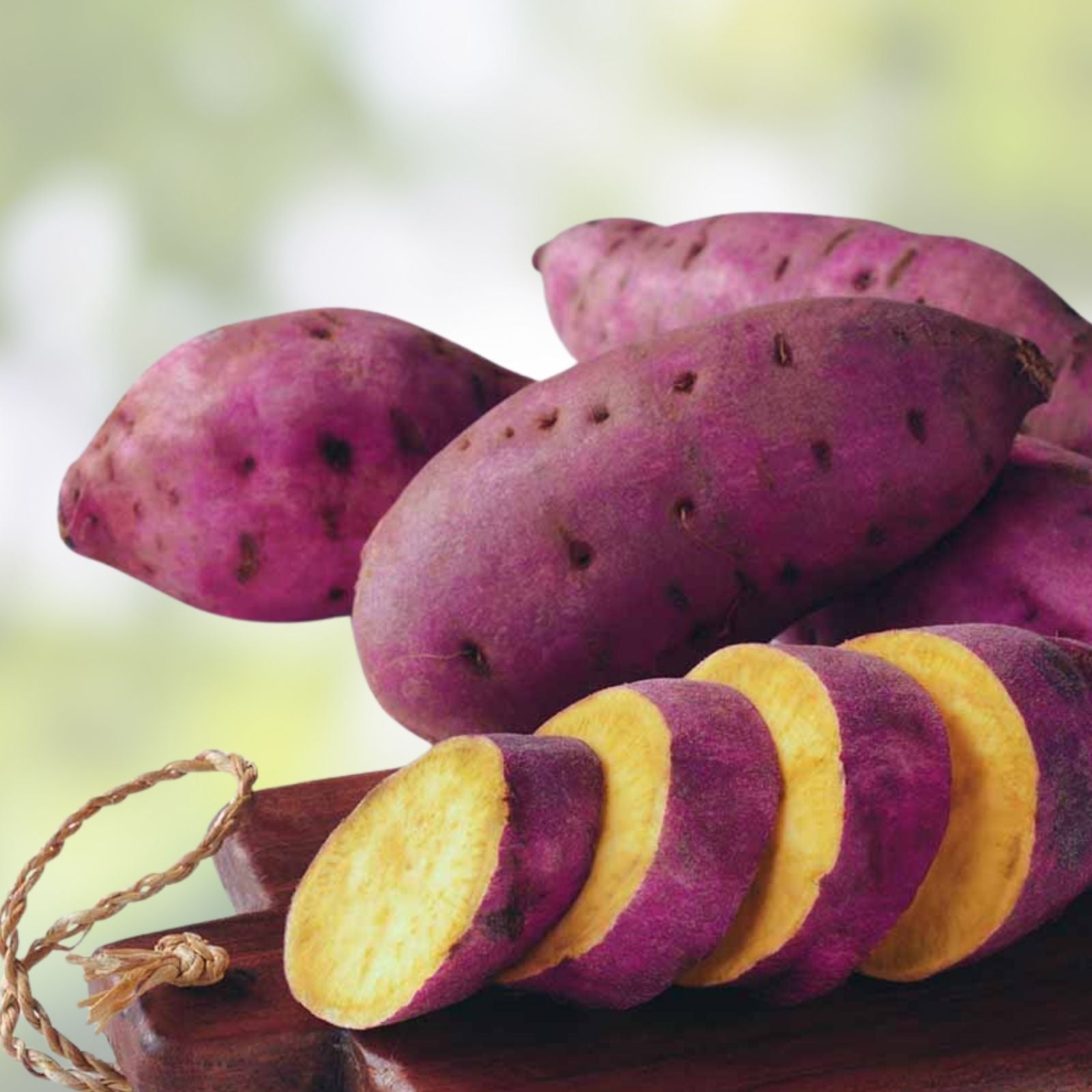 Organic Purple Sweet Potato Yams 5 Pounds - Ready to Grow - Ipomoea batatas - Heirloom, Nutrient-Rich, Non-GMO