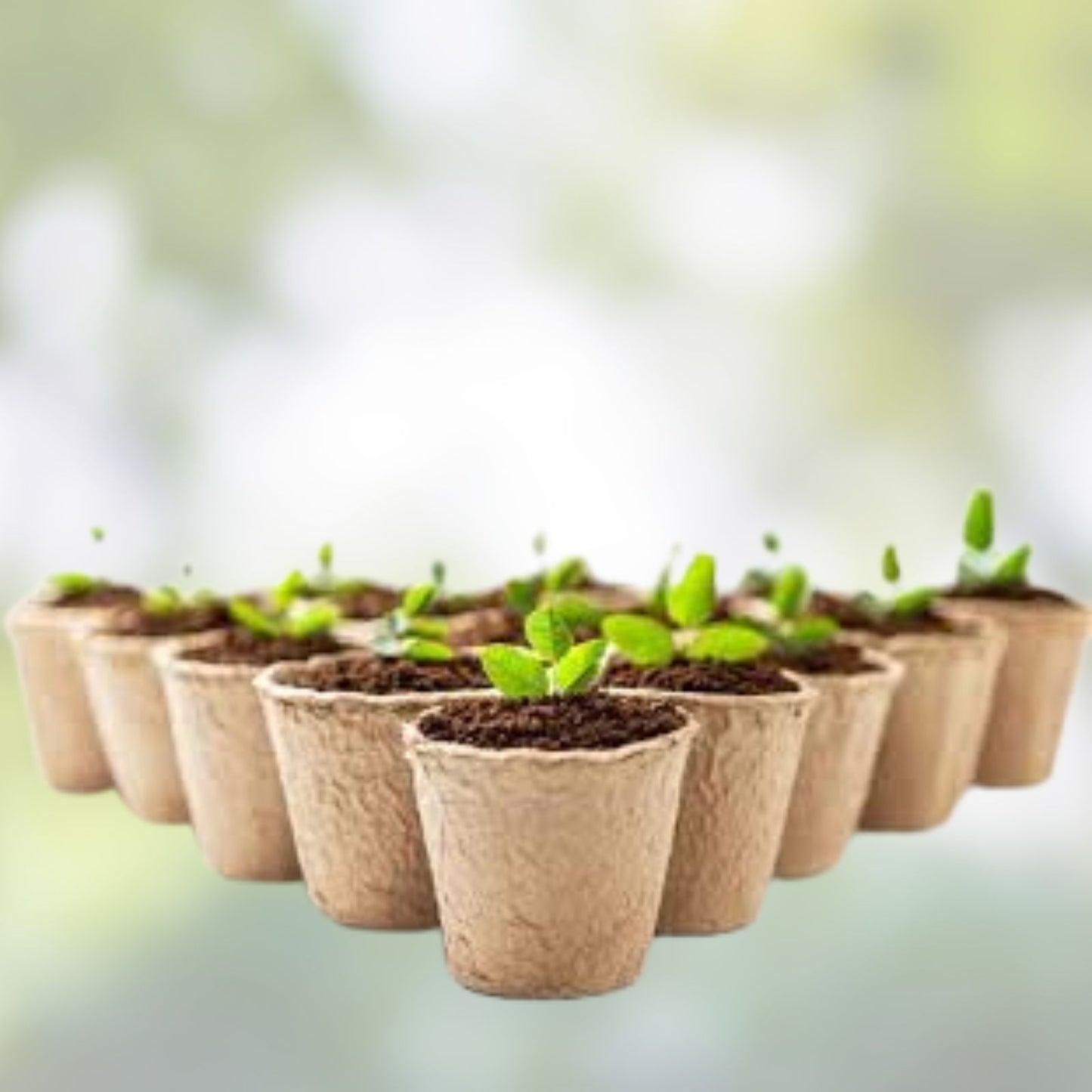 3 Inch Biodegradable Starter Pots 50 Pack for Seedlings and Plants Eco-Friendly Planting Containers