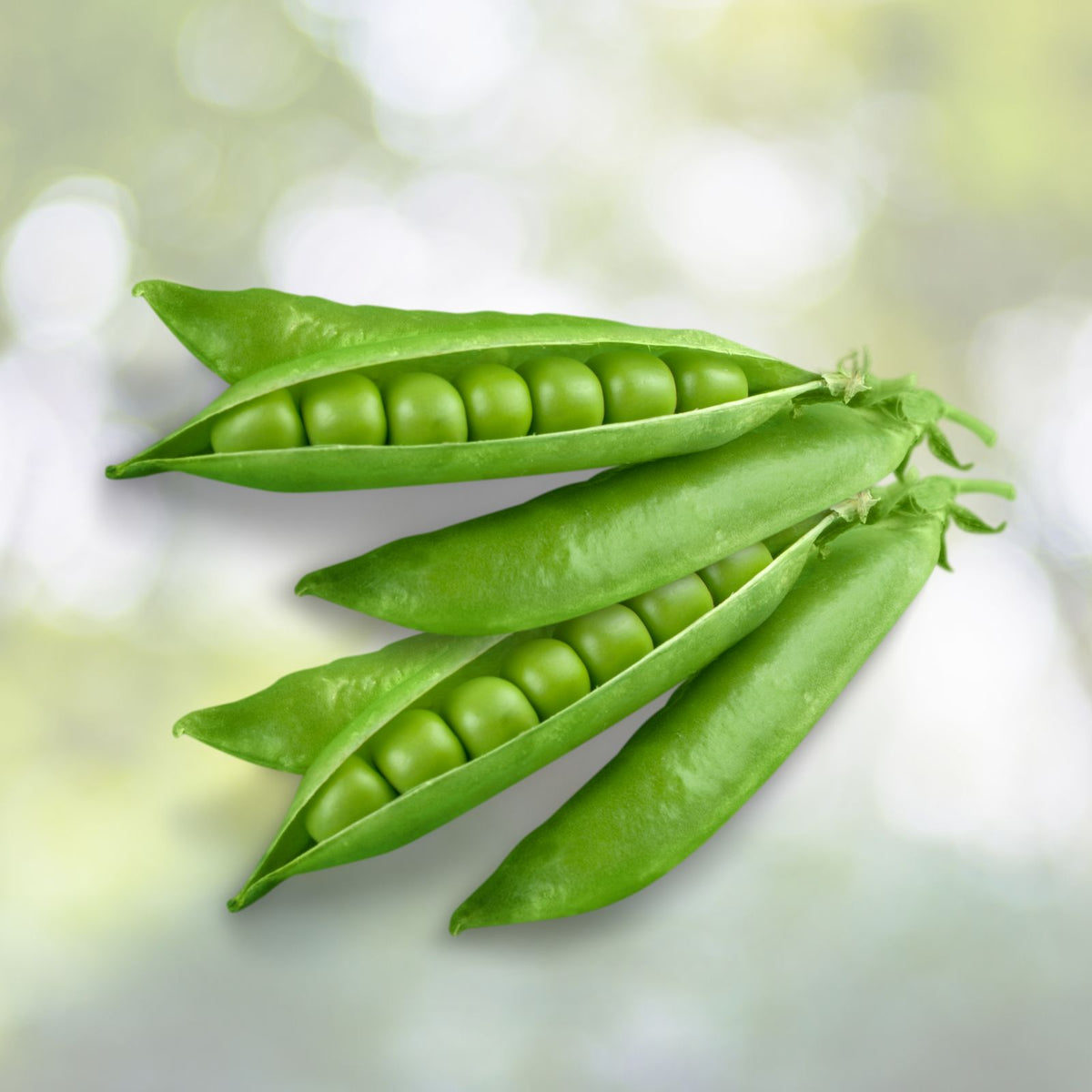 Organic Green Sugar Snap Pea Seeds - Non-GMO Heirloom Variety - Perfect for Home Gardening