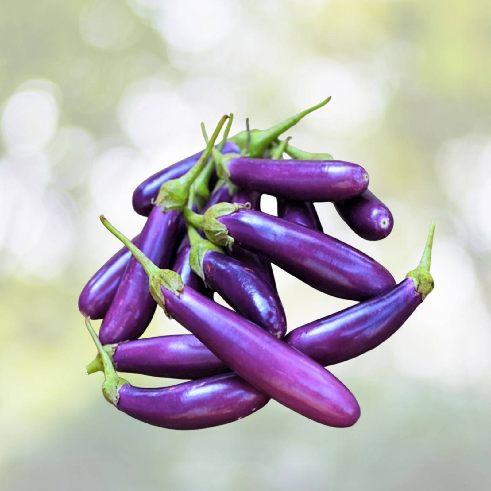 Chinese Eggplant Seeds - 100+ Long Purple Aubergine Seeds for Asian Vegetable Gardens - Non-GMO