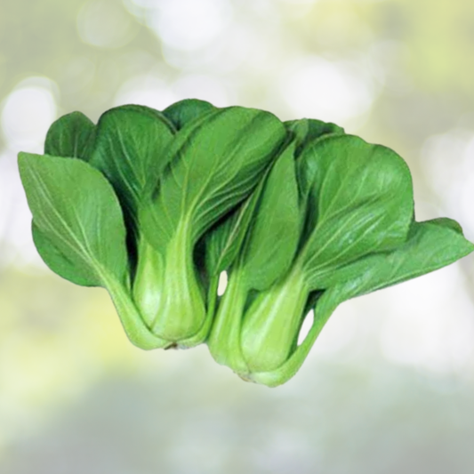1000pcs Chinese Cabbage Seeds - Heirloom Organic Non-GMO - Brassica rapa 'All Year Round'