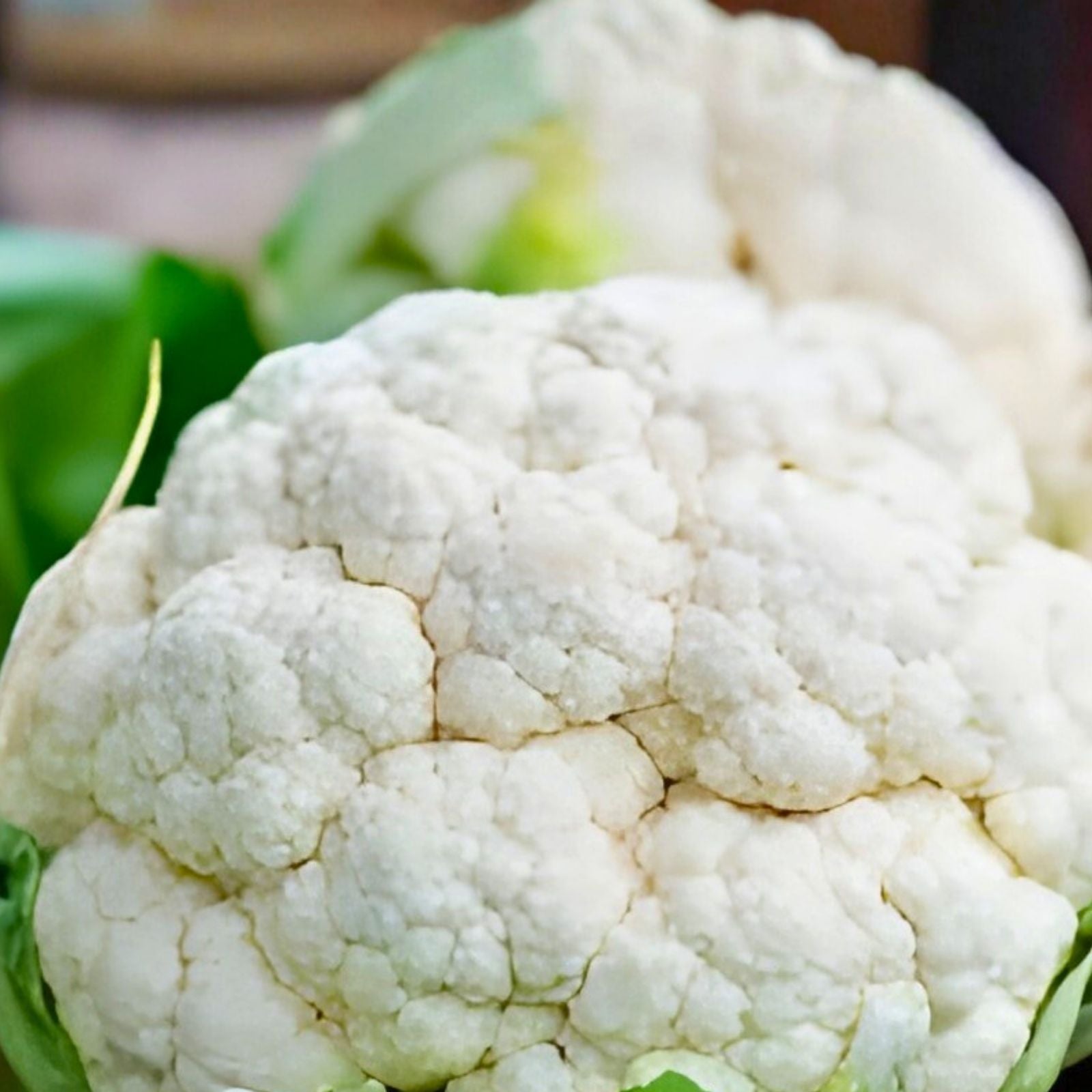 Early Snowball Cauliflower Plants Set of 4 – Heirloom Live Starter Plants Brassica oleracea