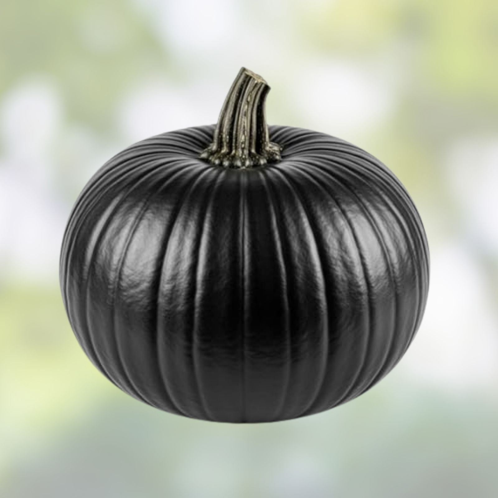 Black Kurinishiki Squash Seeds - 10 Seeds - Rare Edible Black Cucurbita maxima Vegetable Seeds