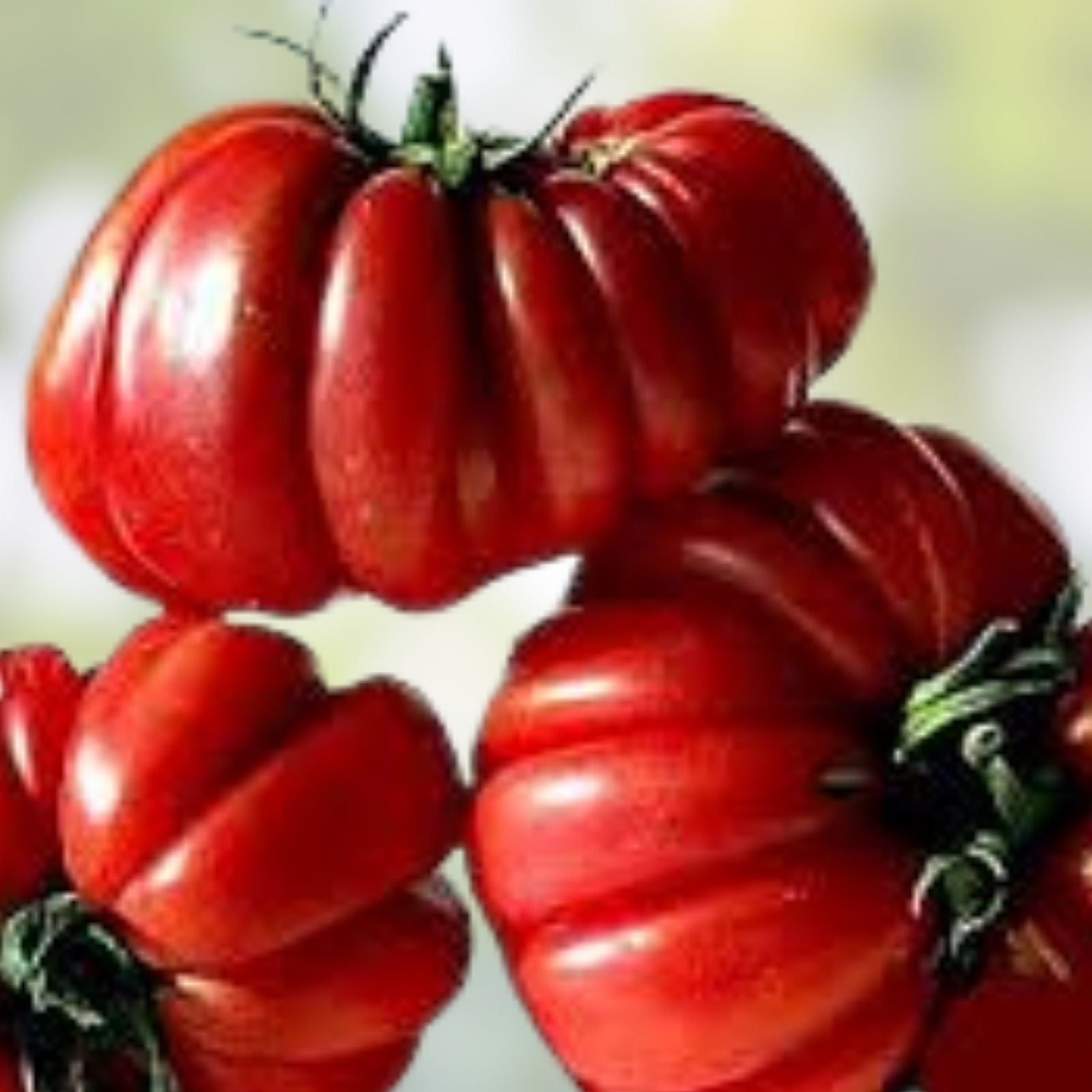 Ruffled Tomato Seeds 25+ Heirloom Variety for Exotic Vegetable Garden Solanum lycopersicum