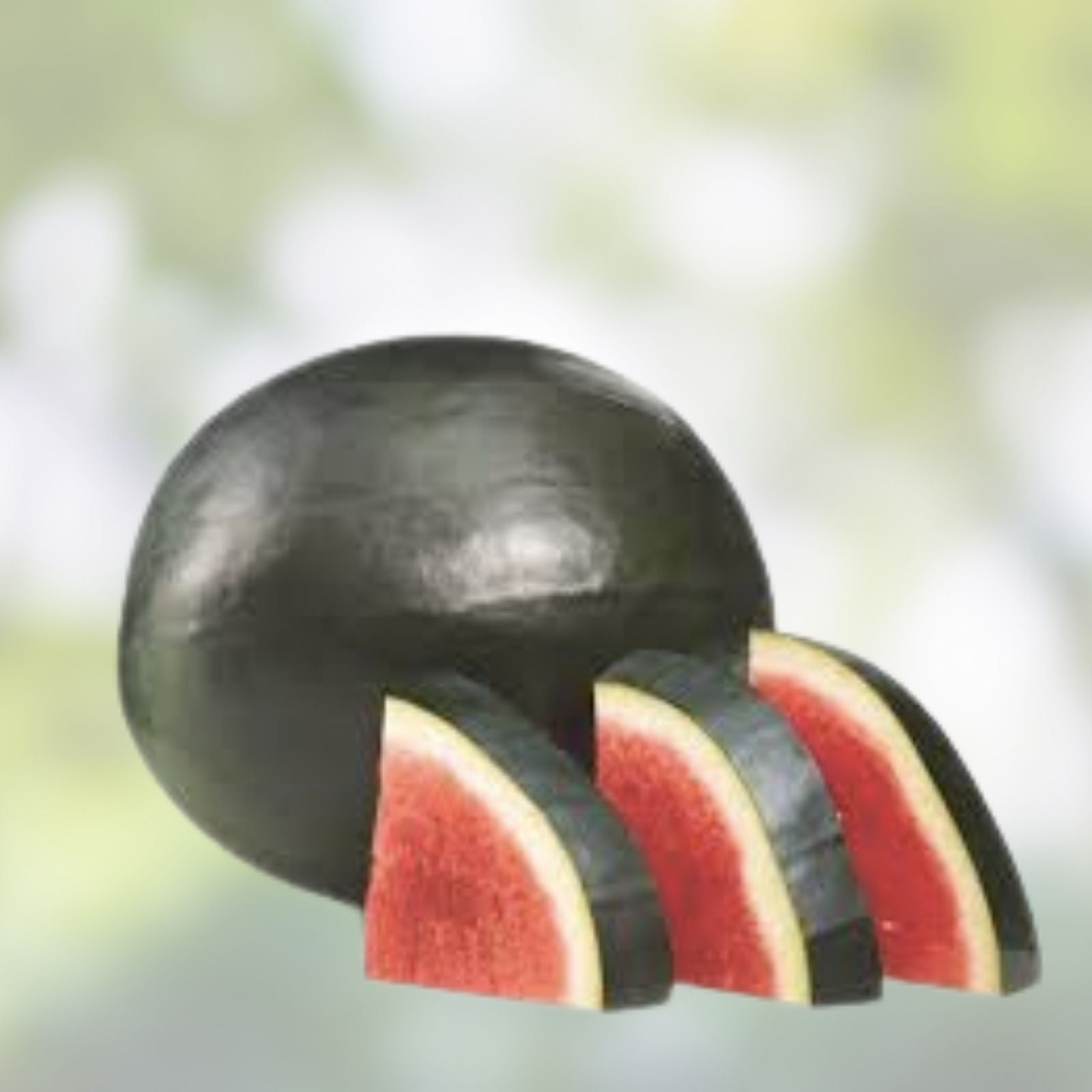 Black Diamond Watermelon Seeds 50 Pack Heirloom Citrullus lanatus Fruit Seeds for Gardening