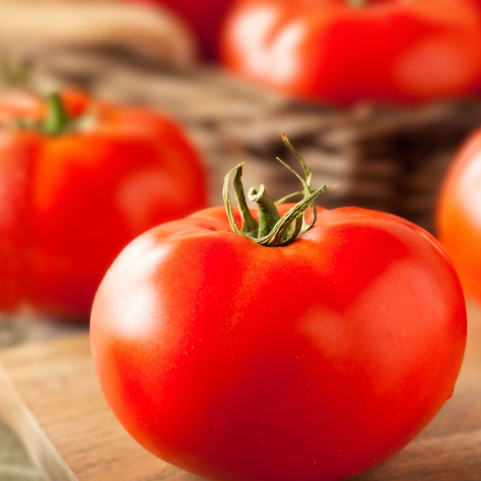 Beefsteak Tomato Starter Plants Set of 2 – Heirloom Juicy Red Tomatoes Lycopersicum Beefsteak