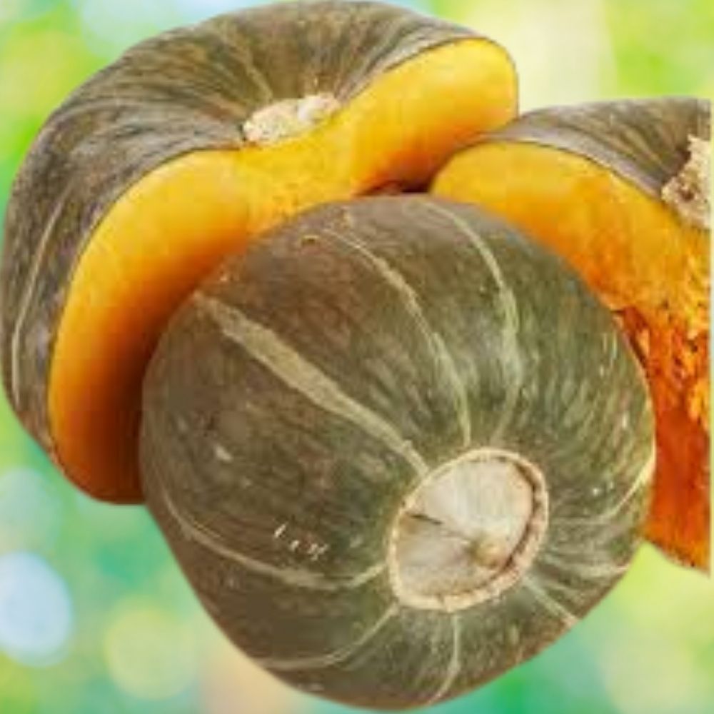 Organic Buttercup Winter Squash Seeds 10 Pack USA Grown Cucurbita maxima Heirloom Vegetable Garden
