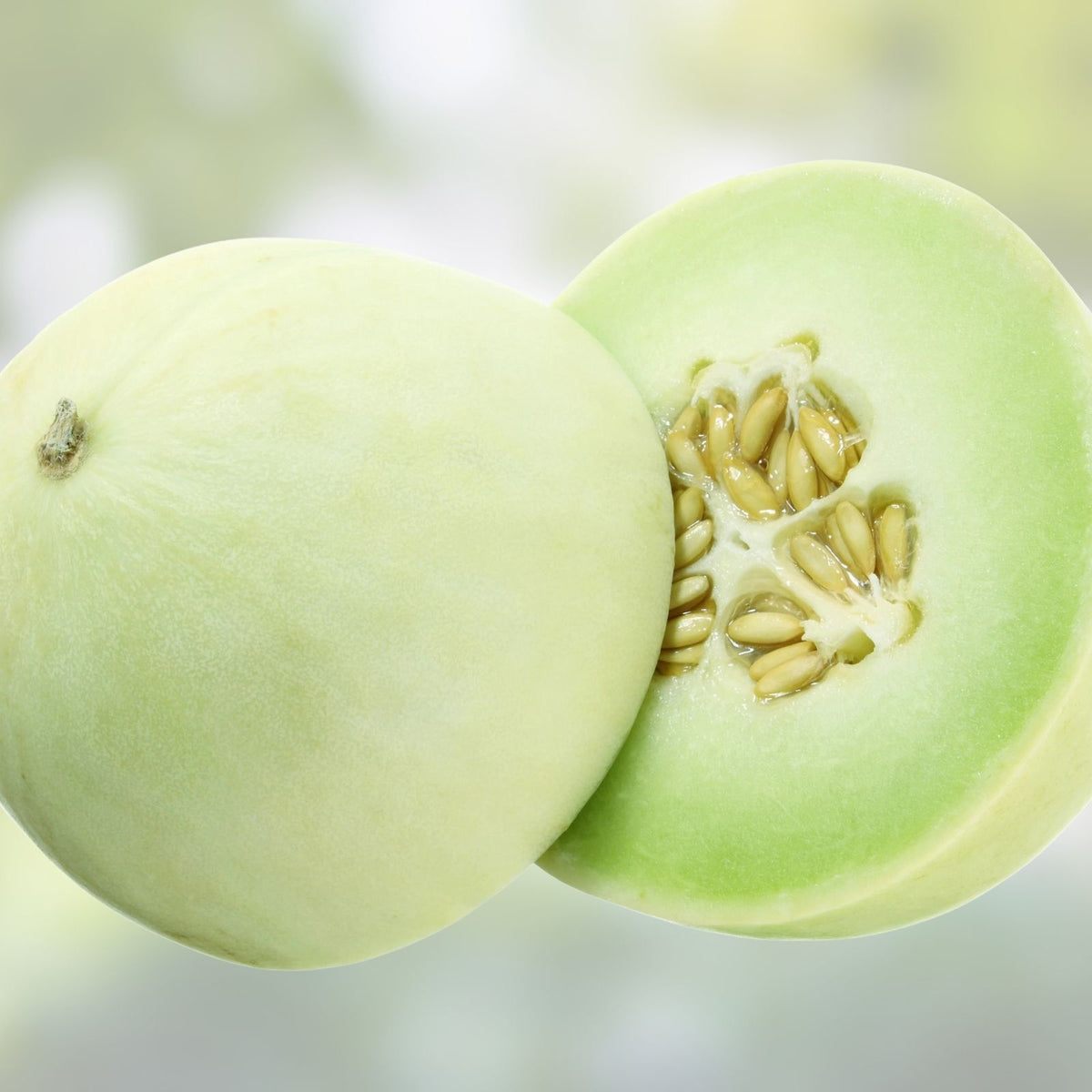 Honey Dew Melon Seeds 500 Pack Heirloom Non-GMO Sweet Green Cucumis melo Vegetable Seeds