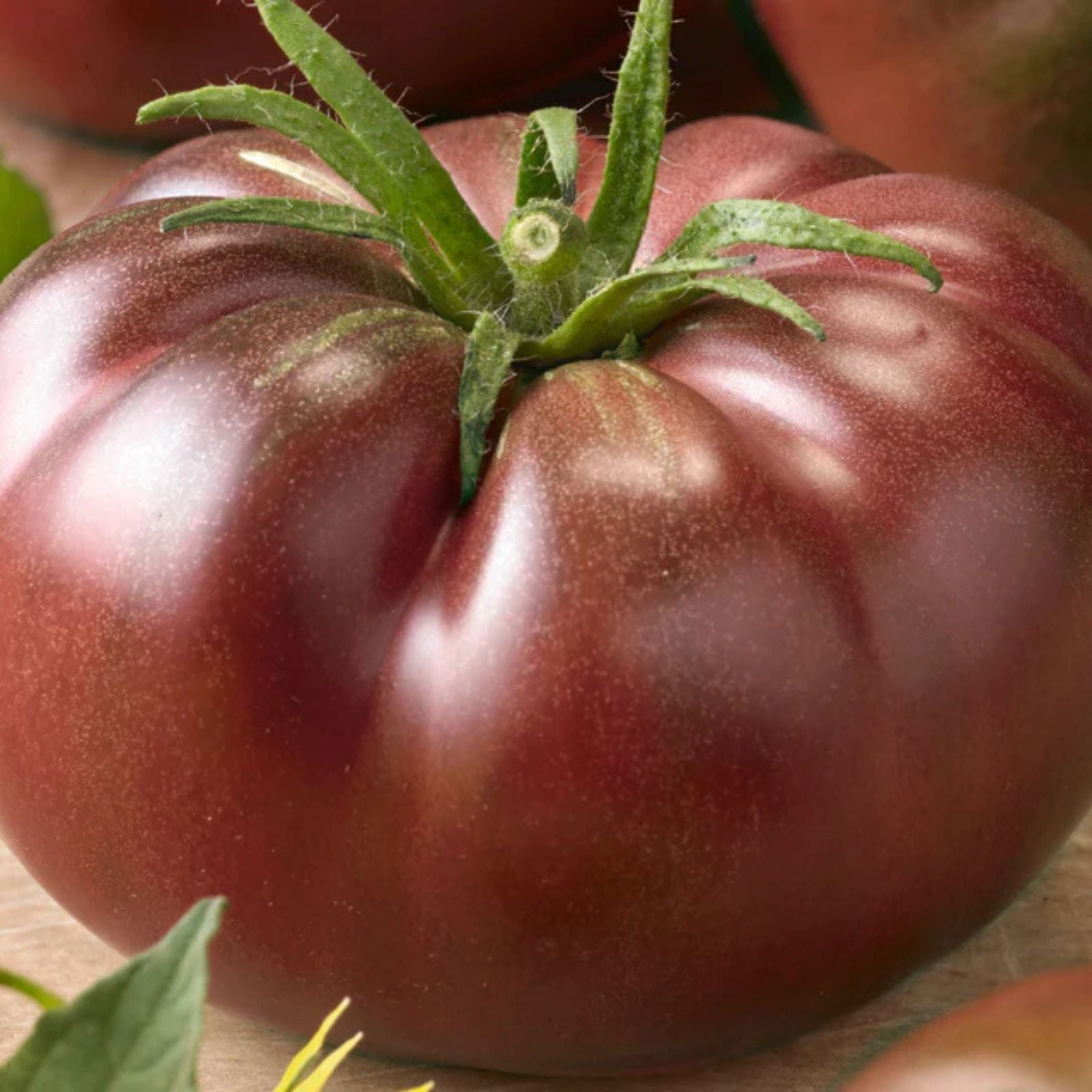 Chef's Choice Black Tomato Seeds - 40 Organic Heirloom Seeds - USA Grown - Unique Dark Purple Tomato Variety