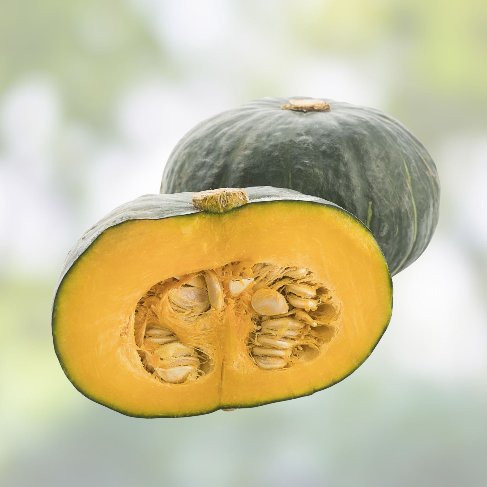 Buffy Winter Squash Seeds, Mini Variety, 10 Seeds, Cucurbita maxima, Heirloom Vegetable Seeds for Planting