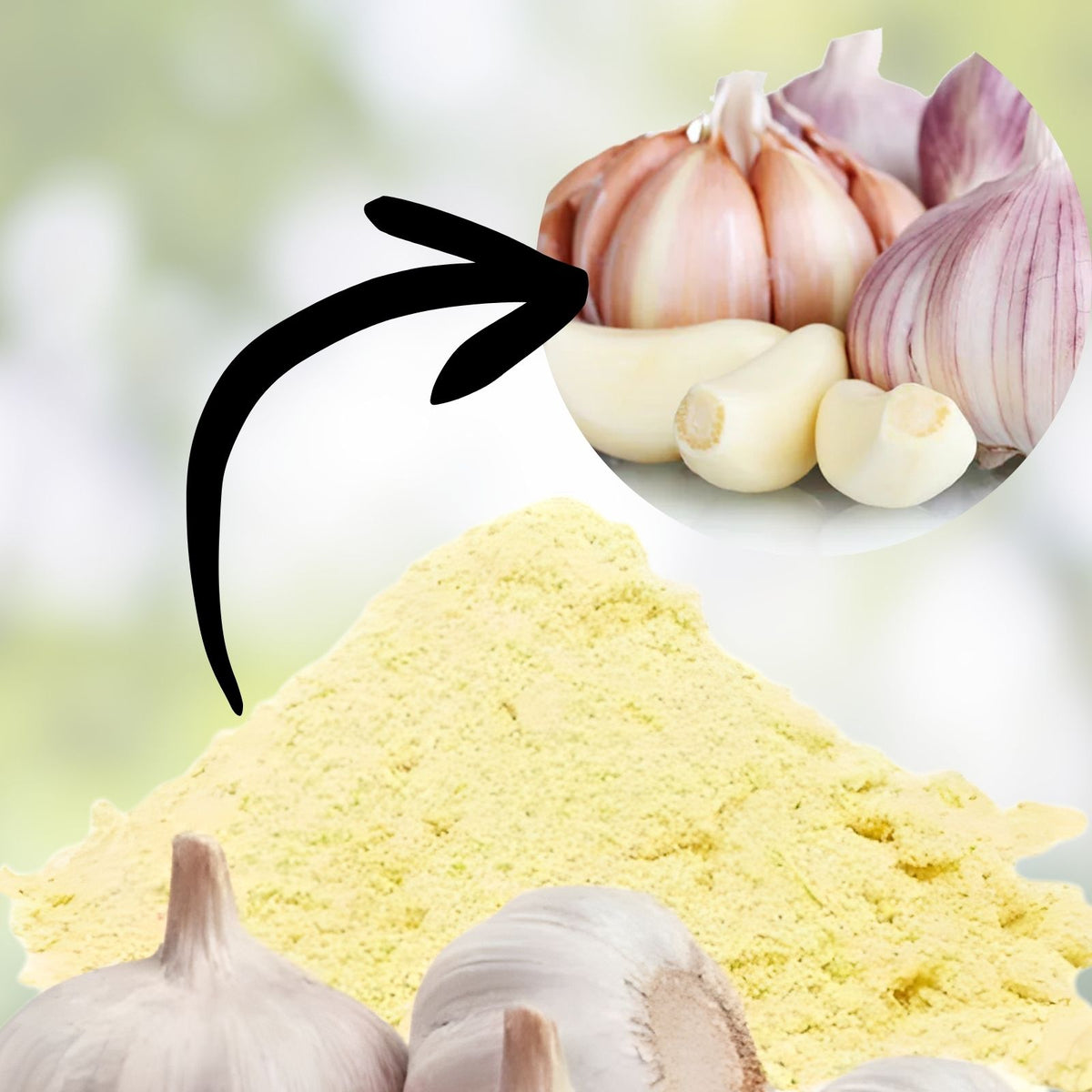 Garlic Powder 10 oz | Dried All-Purpose Seasoning | Allium sativum | Aromatic Flavor Enhancer