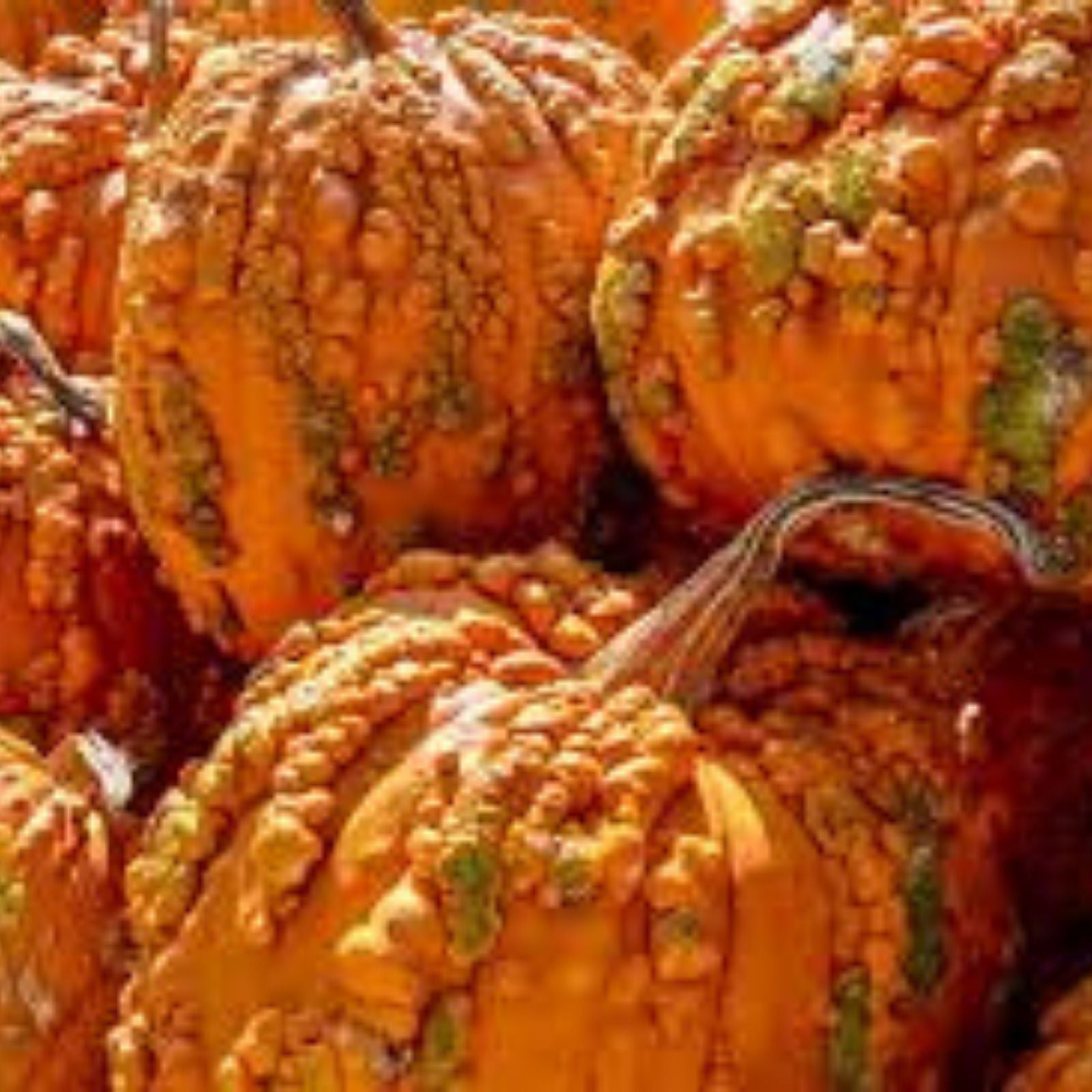 Goosebumps Pumpkin Seeds for Planting, 10 Seeds, Orange Warty Pumpkins, Cucurbita pepo, Halloween Decor, Garden Grow Kit