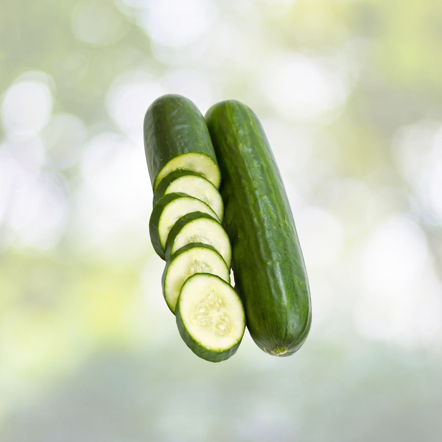 Cucumber Seeds 20+ Pack Sweet Slice Burpless Hybrid Cucumber Seeds (Cucumis sativus) USA
