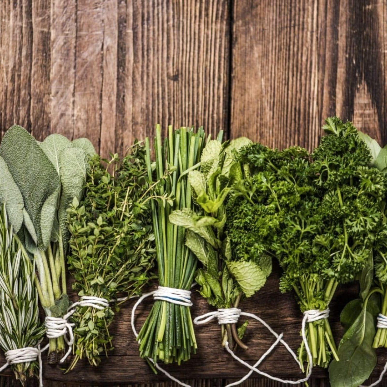 Herb Garden Kit 5 Pack Culinary Herbs Parsley Oregano Cilantro Dill Thyme | Kitchen Garden Set