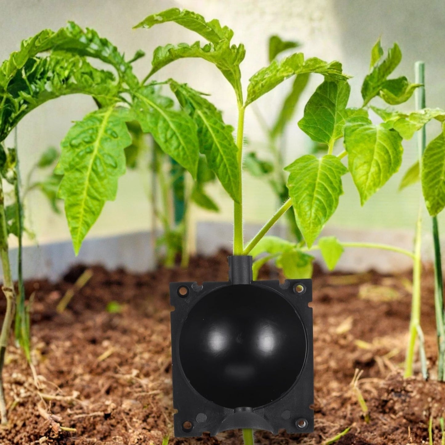 Plant Rooting Devices 10/20X High Pressure Grafting Box for Propagation, Indoor Gardening, Hydroponics