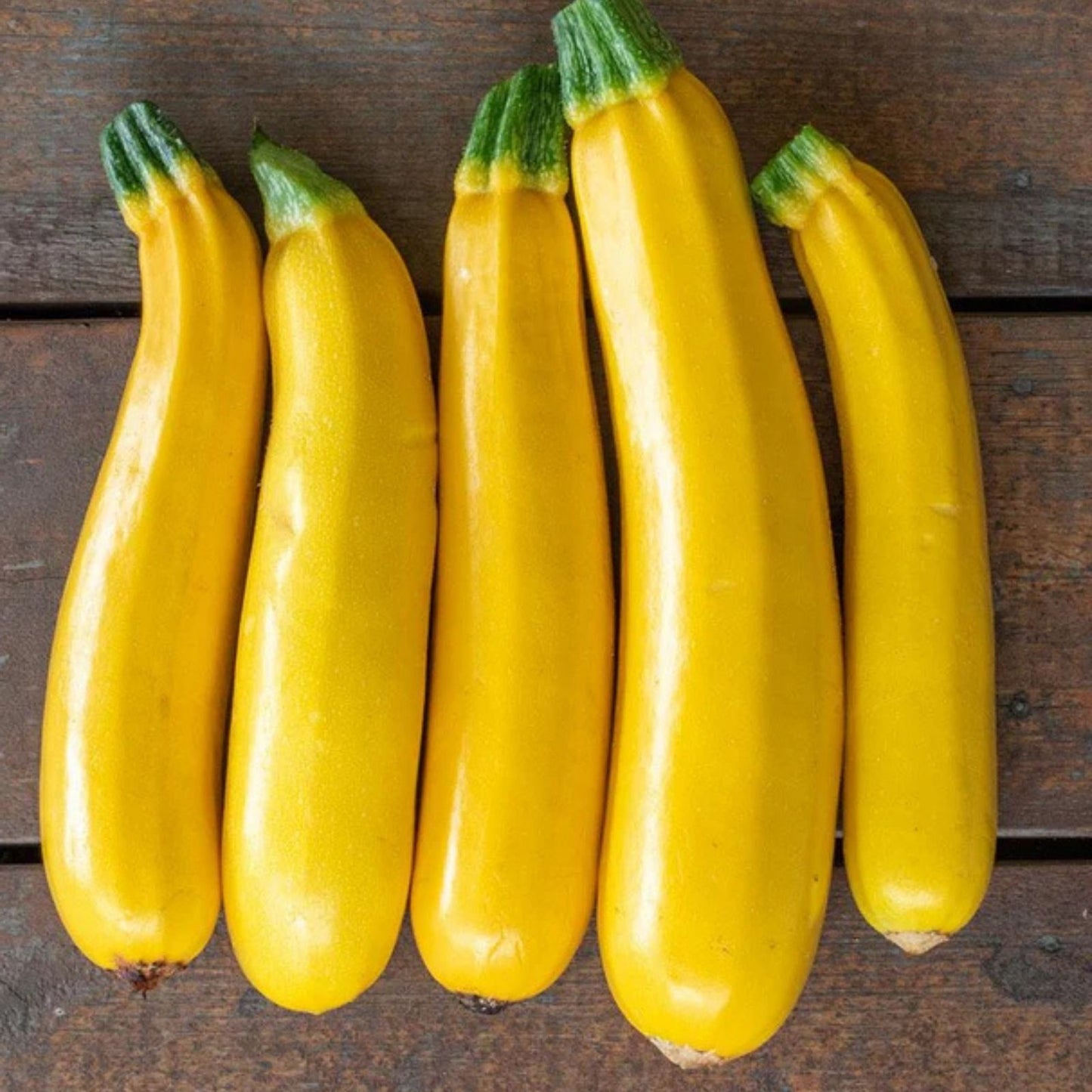 Goldy Squash Seeds 10 Pack - Golden Zucchini Seeds Cucurbita pepo Organic Vegetable Seeds