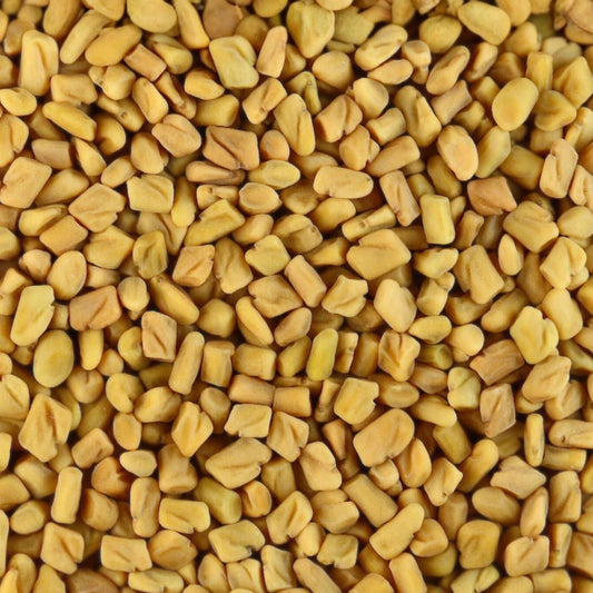 Fenugreek Seeds Heirloom Variety 20+ Seeds – Healthy Tasty Herb Trigonella foenum-graecum for Cooking and Gardening