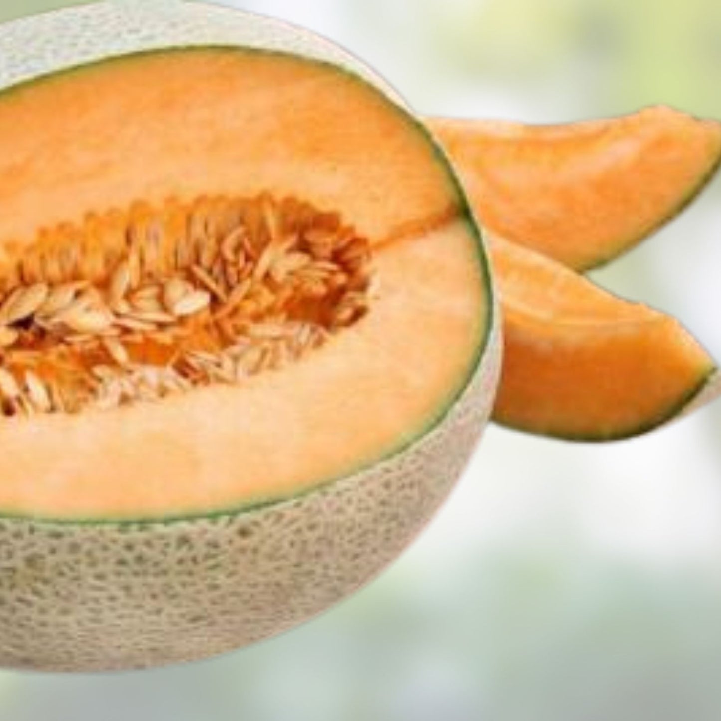 Cantaloupe Seeds 100 Organic Jambo Variety USA Grown Non-GMO Free Shipping