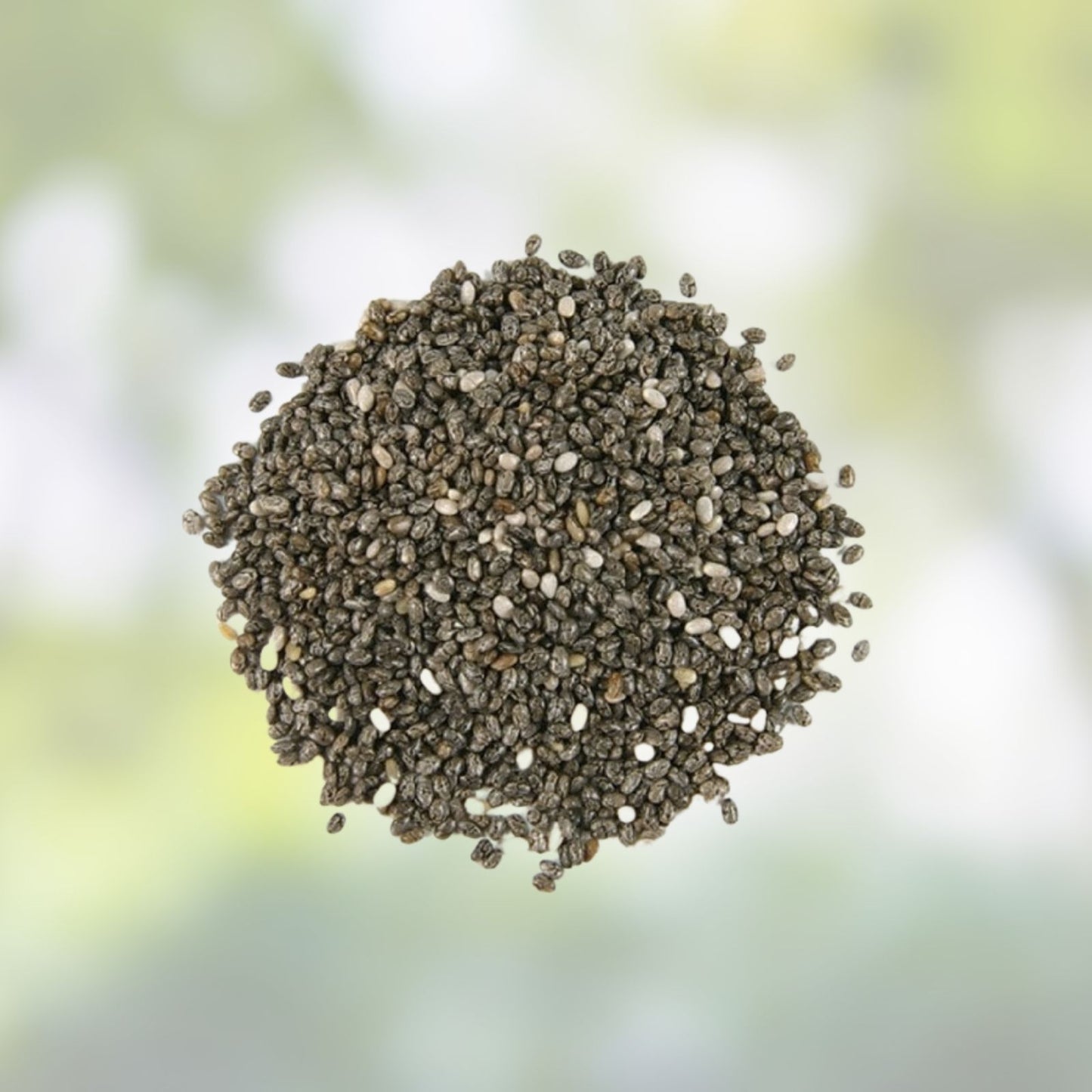 Chia Seeds for Planting, Microgreens Variety, Organic Non-GMO Salvia hispanica, Healthy Superfood Gardening Seeds
