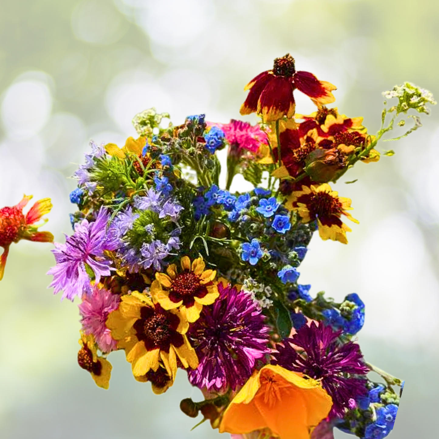 Landscaper's Pack Super Mix Bulk Wildflower Seeds - Non-GMO, Save the Bees, 3000 Seeds, Eco-Friendly Garden Mix