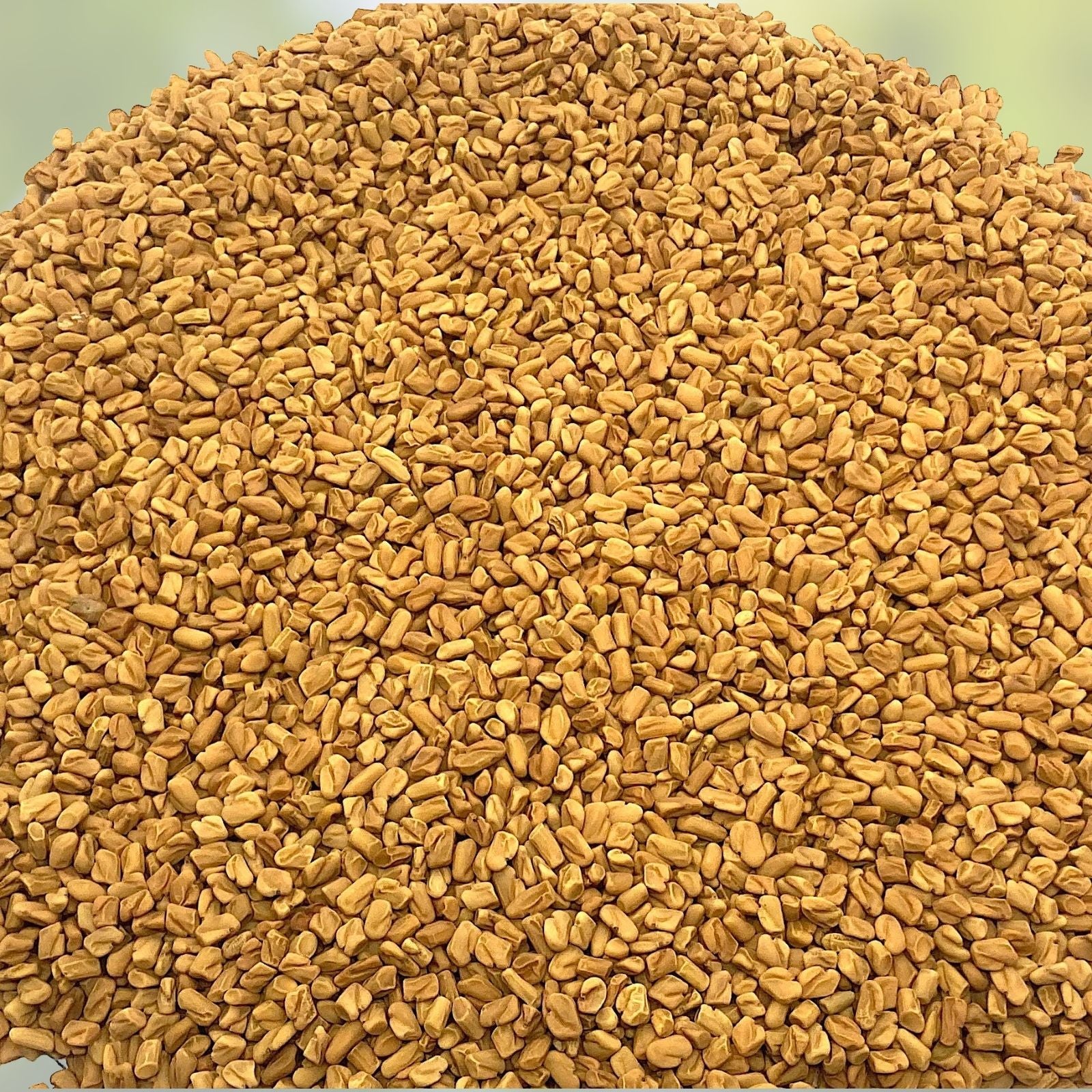 Organic Fenugreek Seeds 4 oz Culinary Herb Trigonella foenum-graecum | Non-GMO, Vegan, Gluten-Free