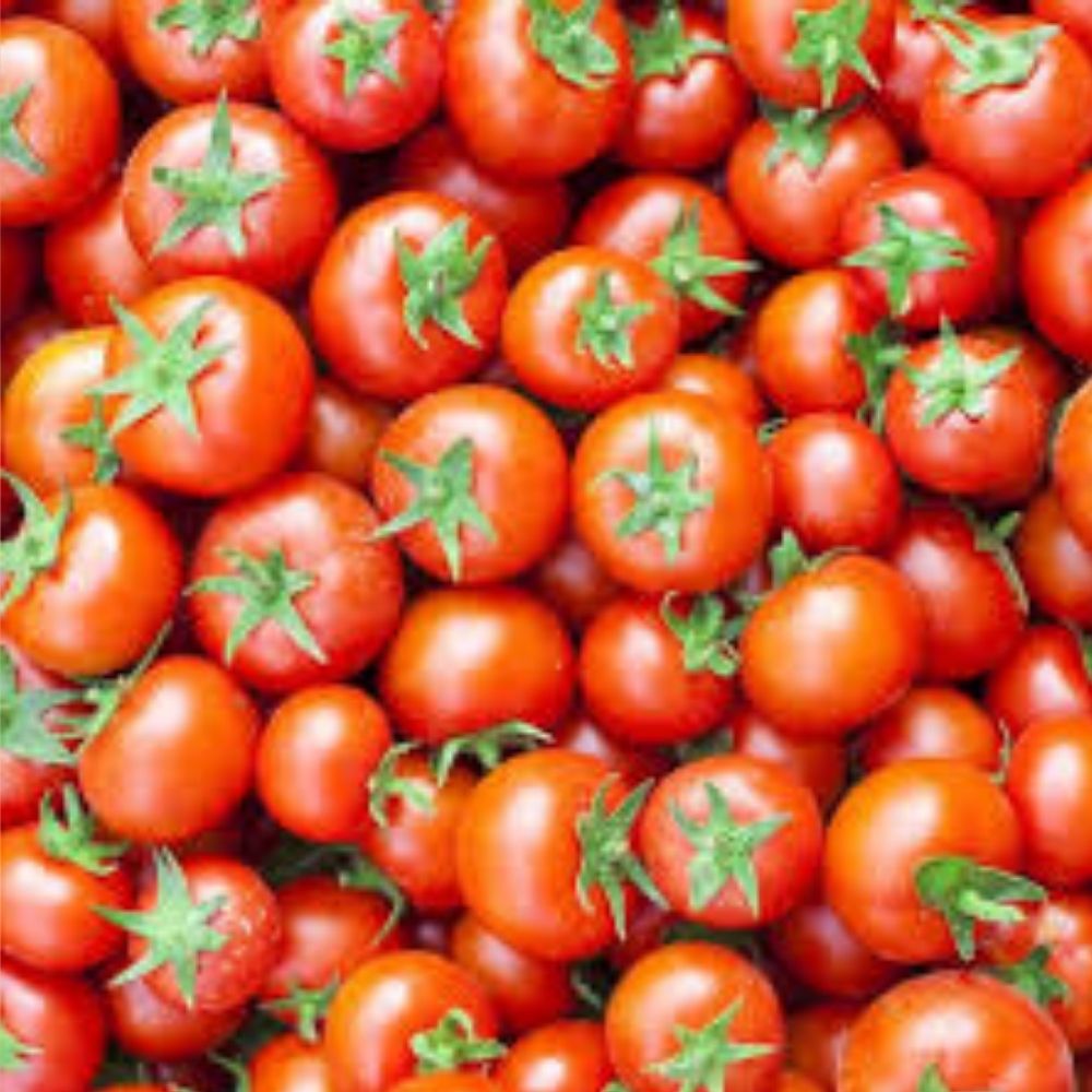 Assorted Cherry Tomato Seeds 100 Pack Organic Heirloom Non-GMO USA Grown Solanum lycopersicum