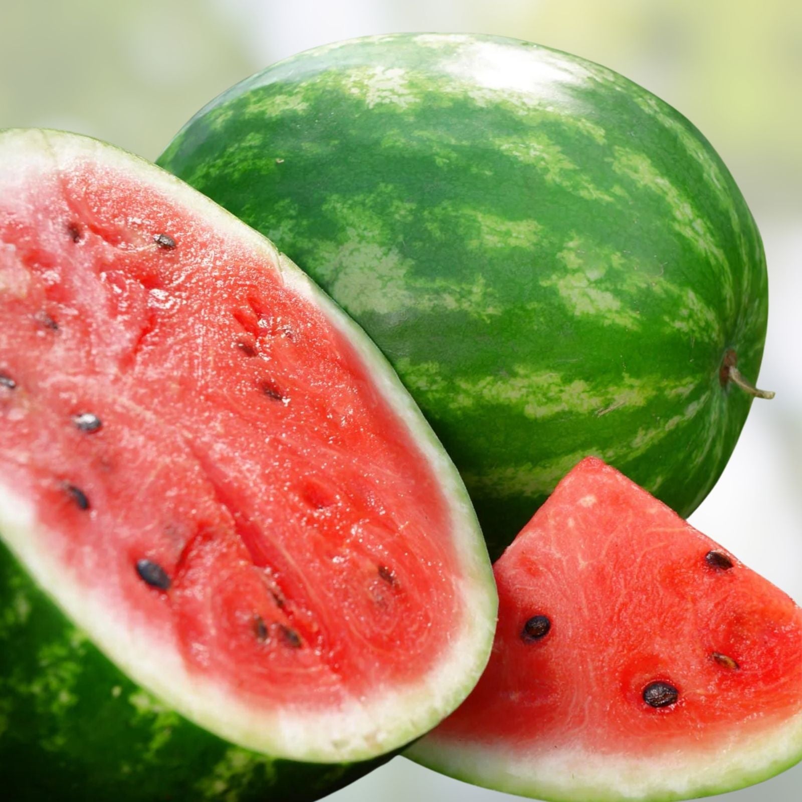 Crimson Sweet Watermelon Seeds - Organic USA Heirloom Variety - 50 Pack - Citrullus lanatus