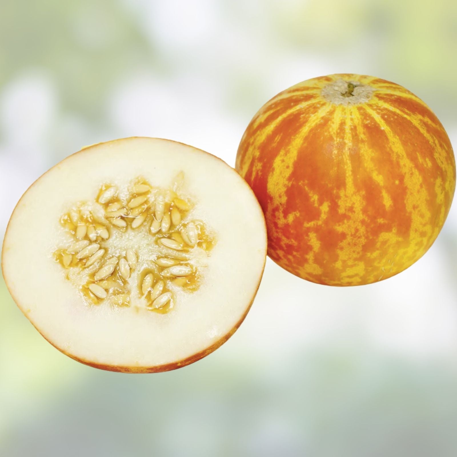 Rare Tiger Melon Seeds 30 Pack - Exotic Garden Fruit - Cucumis melo var. tigrinus - Unique Fruit Seeds for Gardening