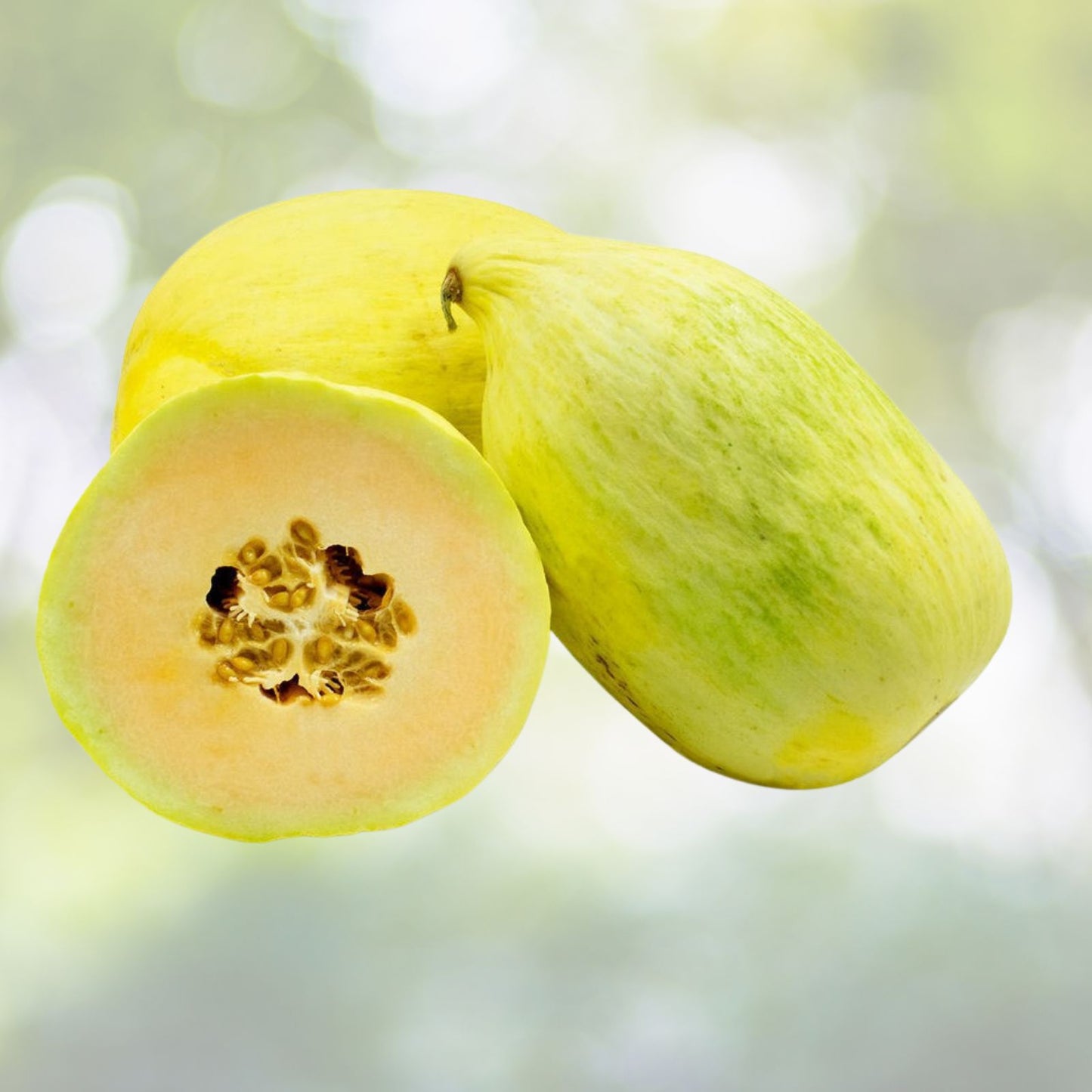 Cantaloupe Seeds 5000 Count Crenshaw Green Sweet Peach Flesh Egg-Shaped Melon Cucumis melo Yellow Green Rind