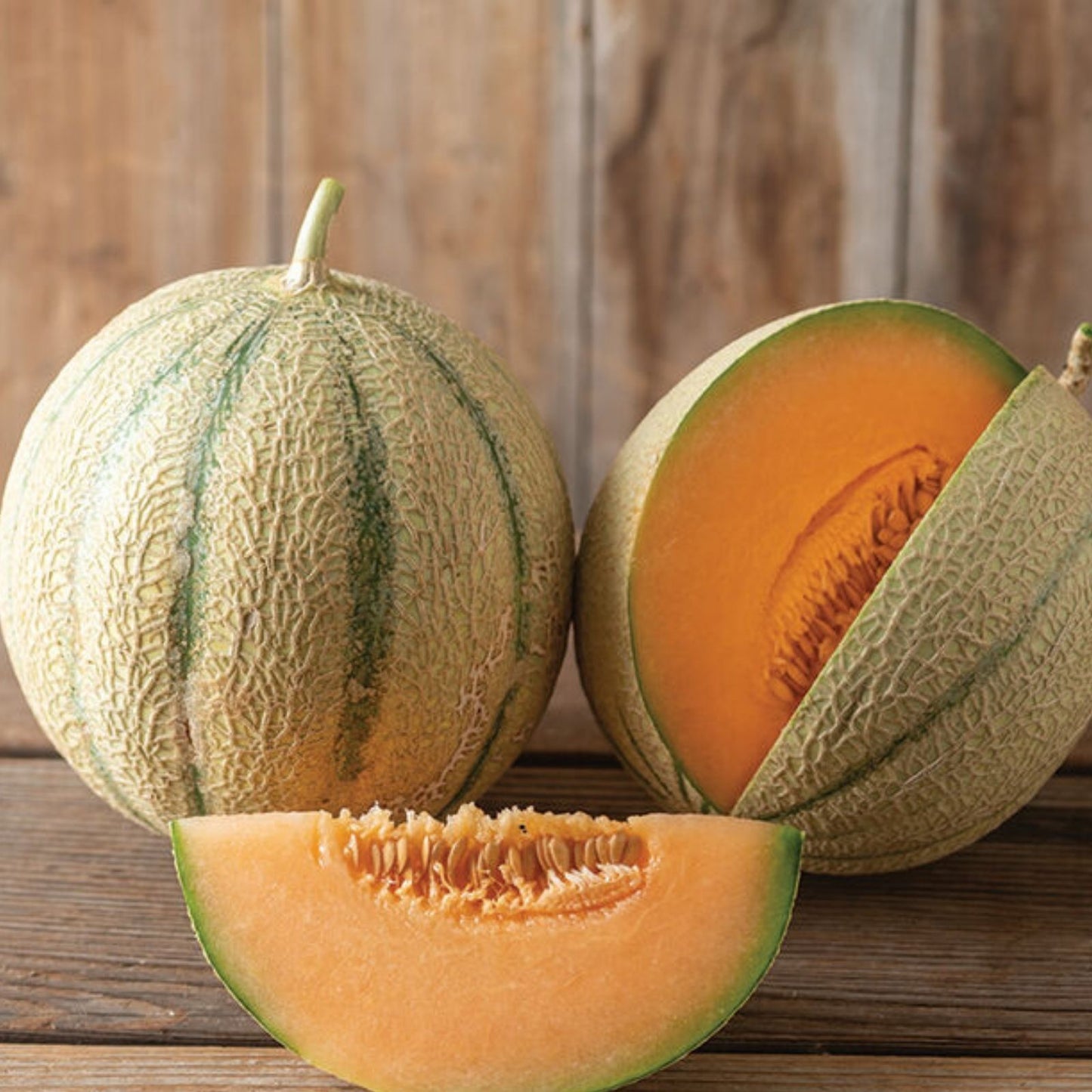 Melonade Cantaloupe Seeds 10 Pack – Sweet Flavor, High Yield – Cucumis melo, Melon Seeds for Planting