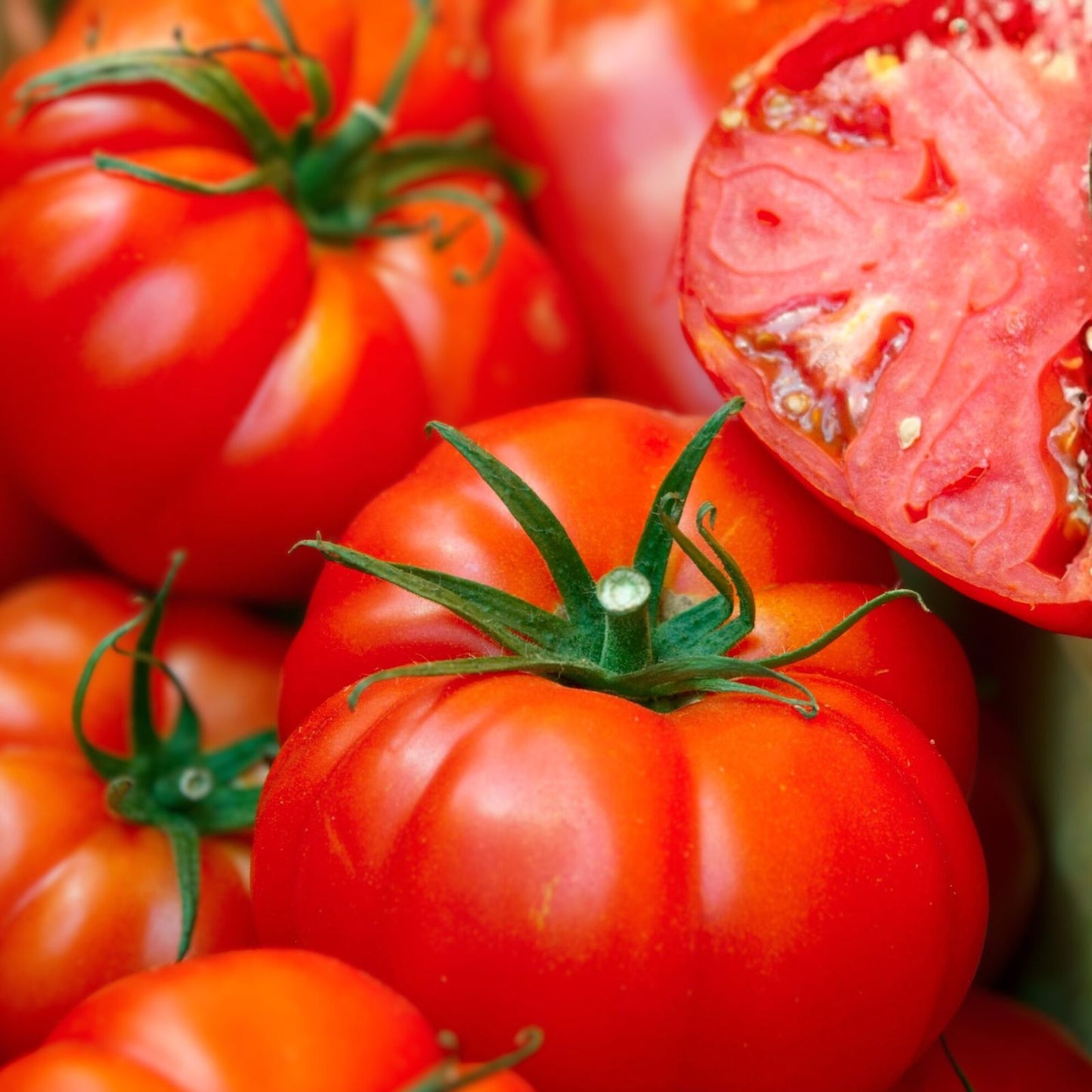 Heirloom Tomato Seeds 100 Count Red Ponderosa Non-GMO Organic Vegetable Seeds Solanum lycopersicum for Home Gardening