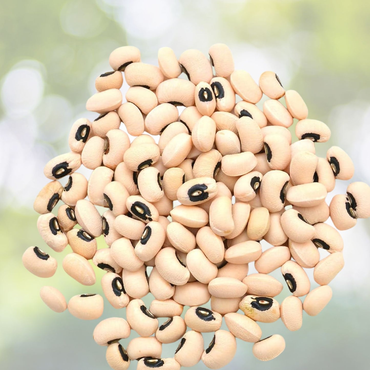 California Black Eye Peas Seeds – 100 Heirloom Non-GMO Vigna unguiculata for Gardening