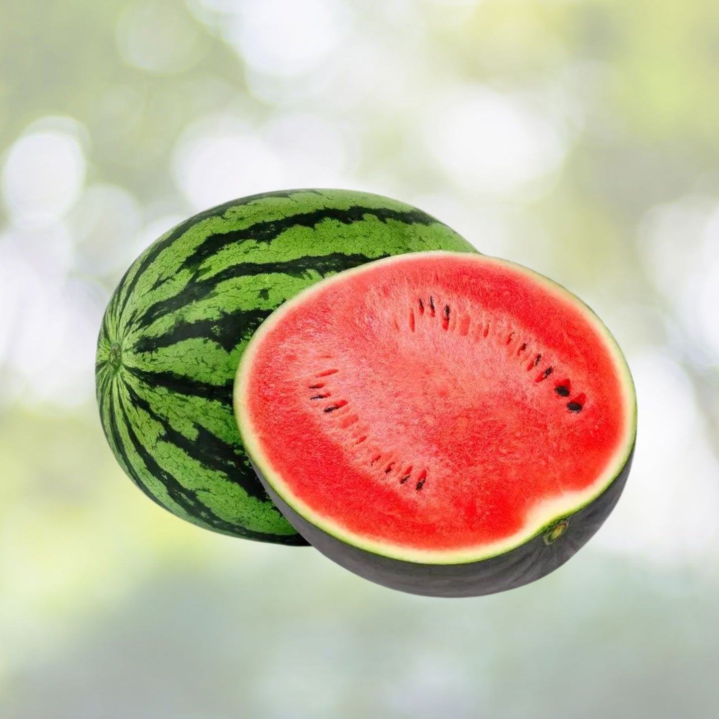 Watermelon Seeds | 25 Pack | Sweet Summer Fruit | Citrullus lanatus