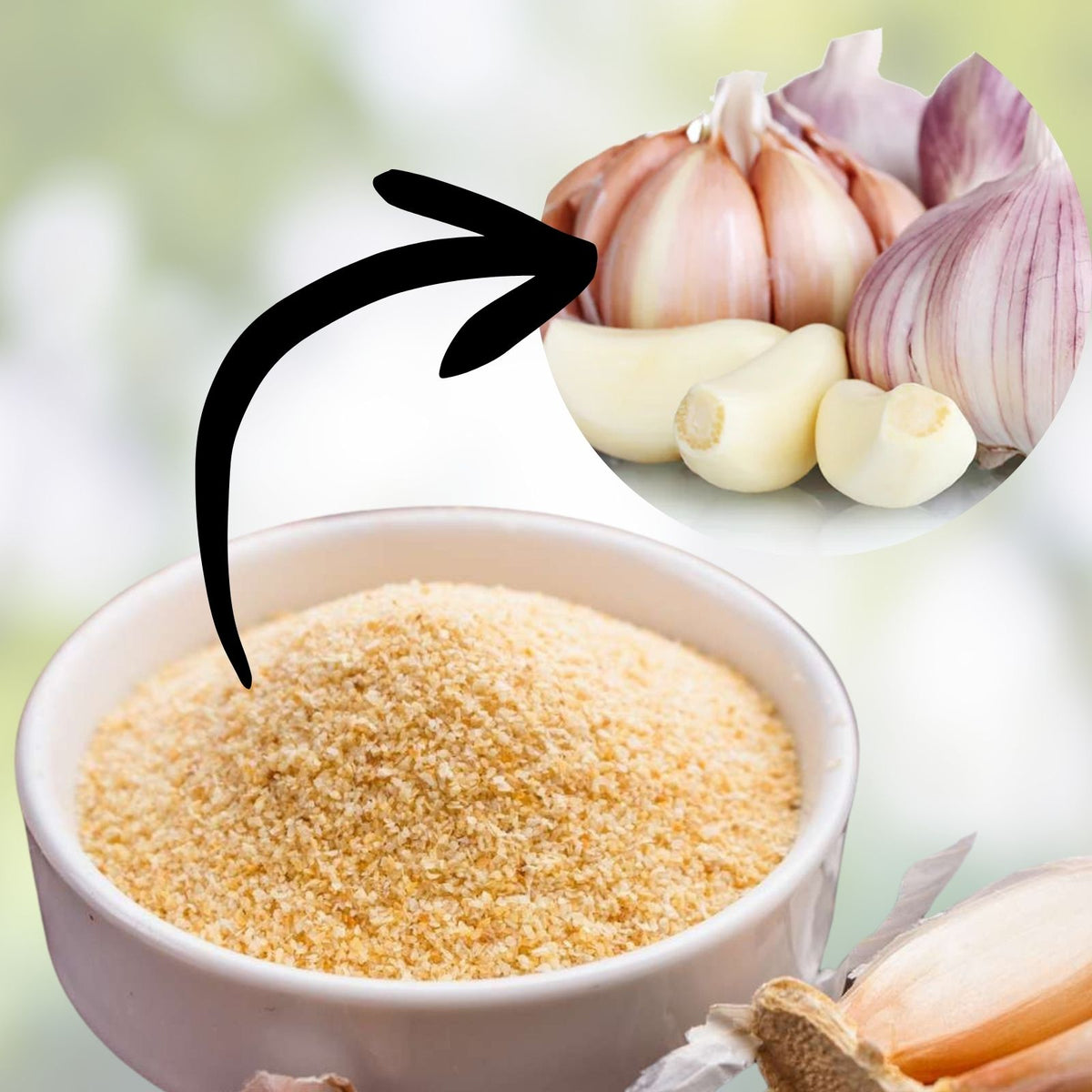 Garlic Powder 4 oz – Dried All-Purpose Seasoning – Flavorful Spice for Cooking – Allium sativum