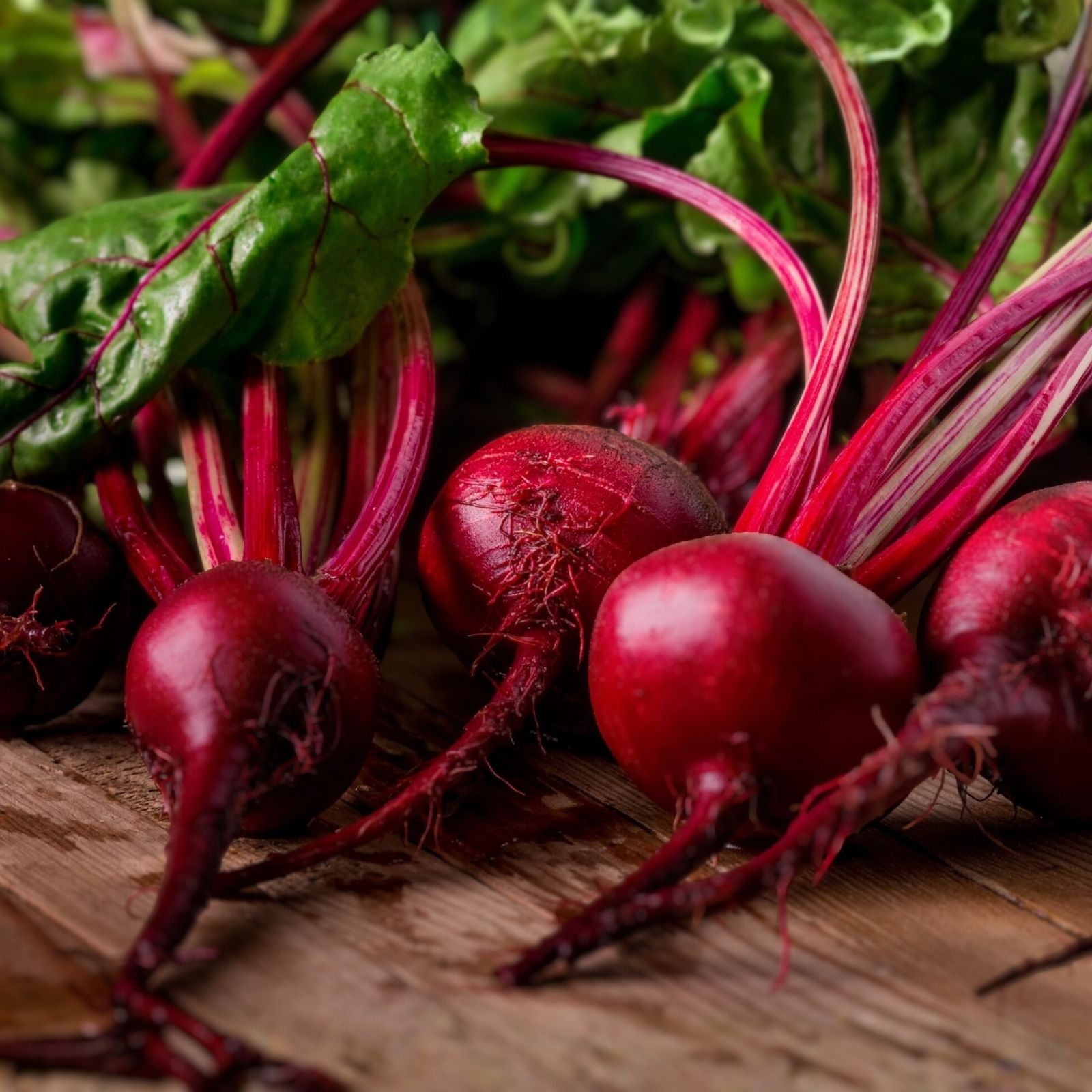 Heirloom Beet Seeds 500+ Non-GMO Ruby Queen Dark Red Sweet Beet Beta vulgaris Vegetable Seeds