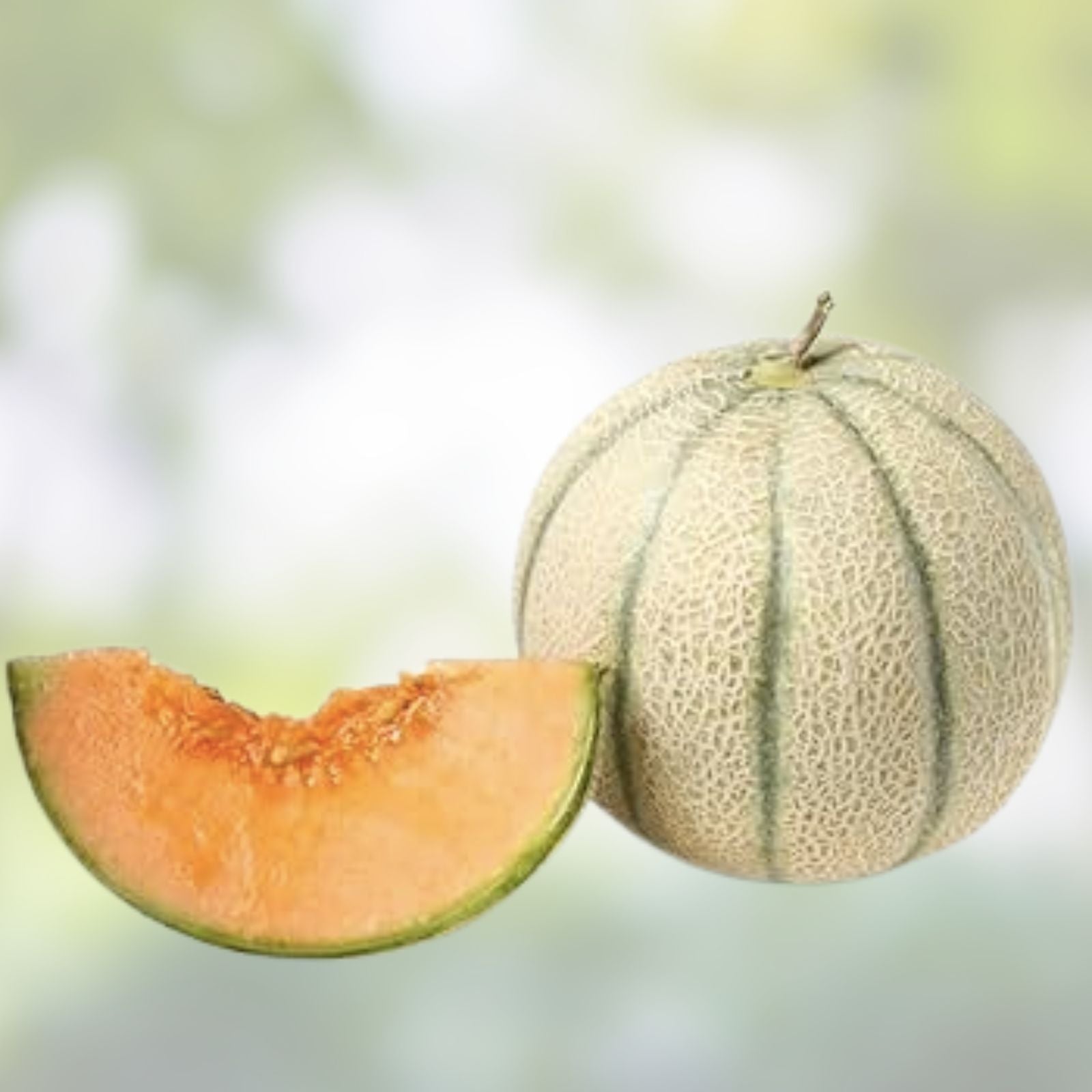 Hales Best Cantaloupe Seeds 50 Pack Heirloom Cucumis melo Live Plant or Seed Starter Grown in USA