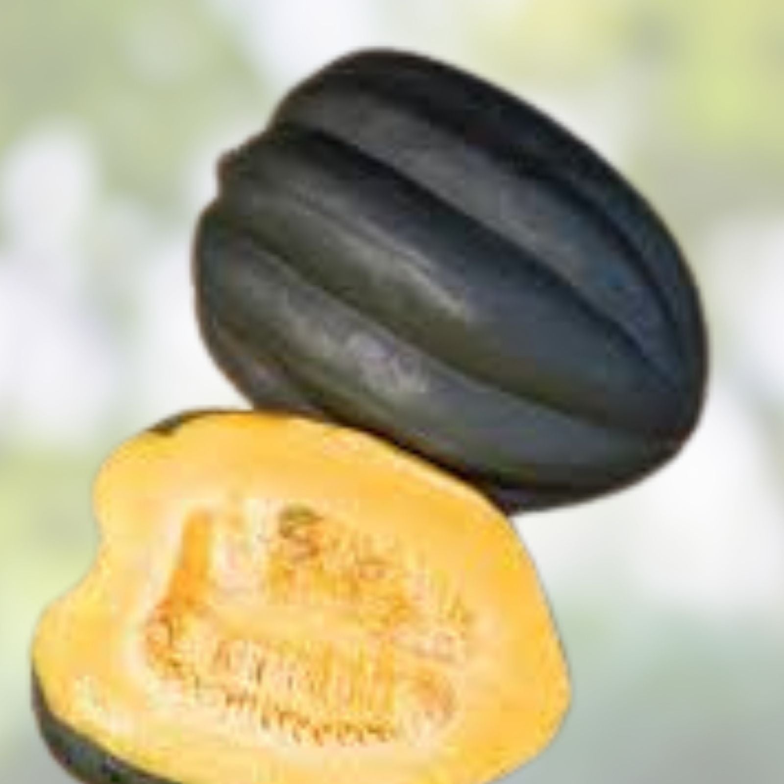 Autumn Delight Squash Seeds 10 Pack – Rare Heirloom Cucurbita maxima for Fall Harvest and Planting