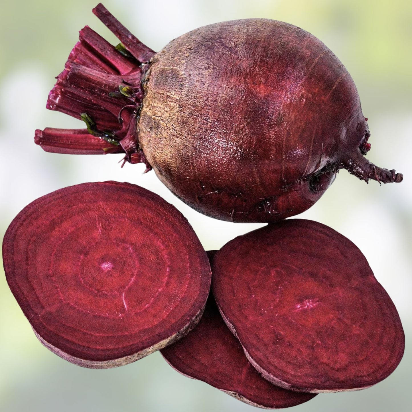 Red Beet Seeds 250 Count Non-GMO Heirloom Beta vulgaris USA Made Ships from Iowa