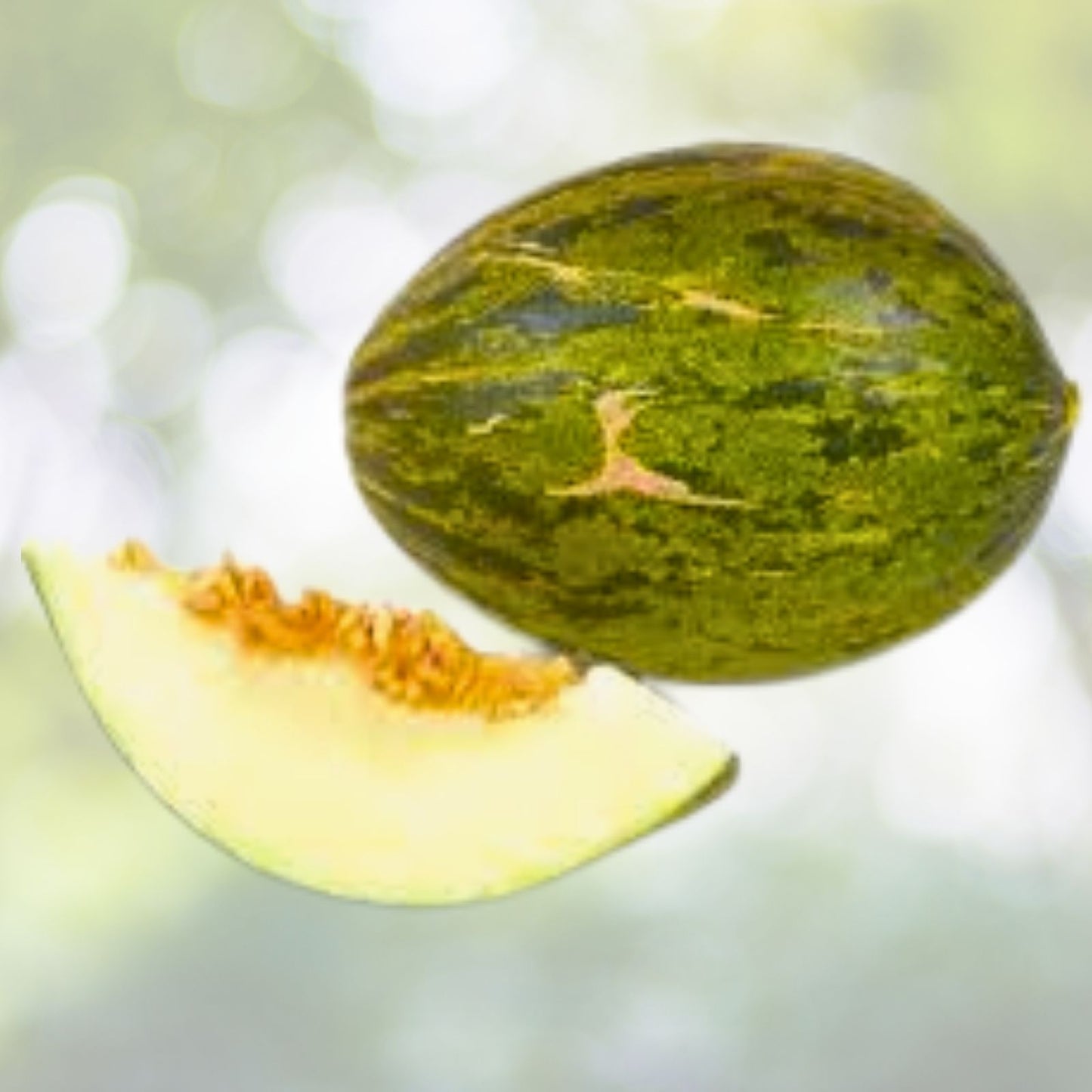 Piel de Sapo Melon Seeds - NON-GMO Heirloom Fresh Garden Seeds - Cucumis melo
