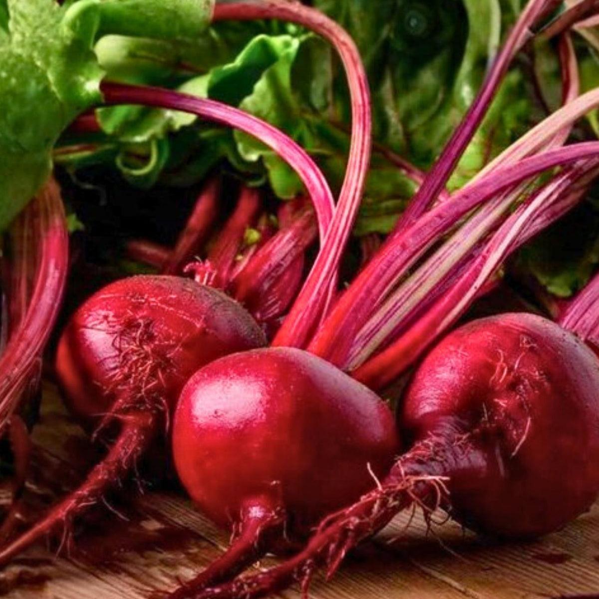 Beet Seeds 500 Pack Detroit Dark Red Heirloom Non-GMO Sweet Beets Beta vulgaris Vegetable Seeds