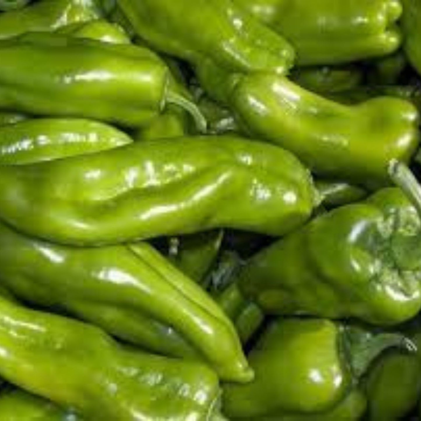 Organic Cubanelle Italian Sweet Frying Pepper Seeds - 50 Pack, Capsicum annuum, USA Grown, Non-GMO, Heirloom, Free Shipping