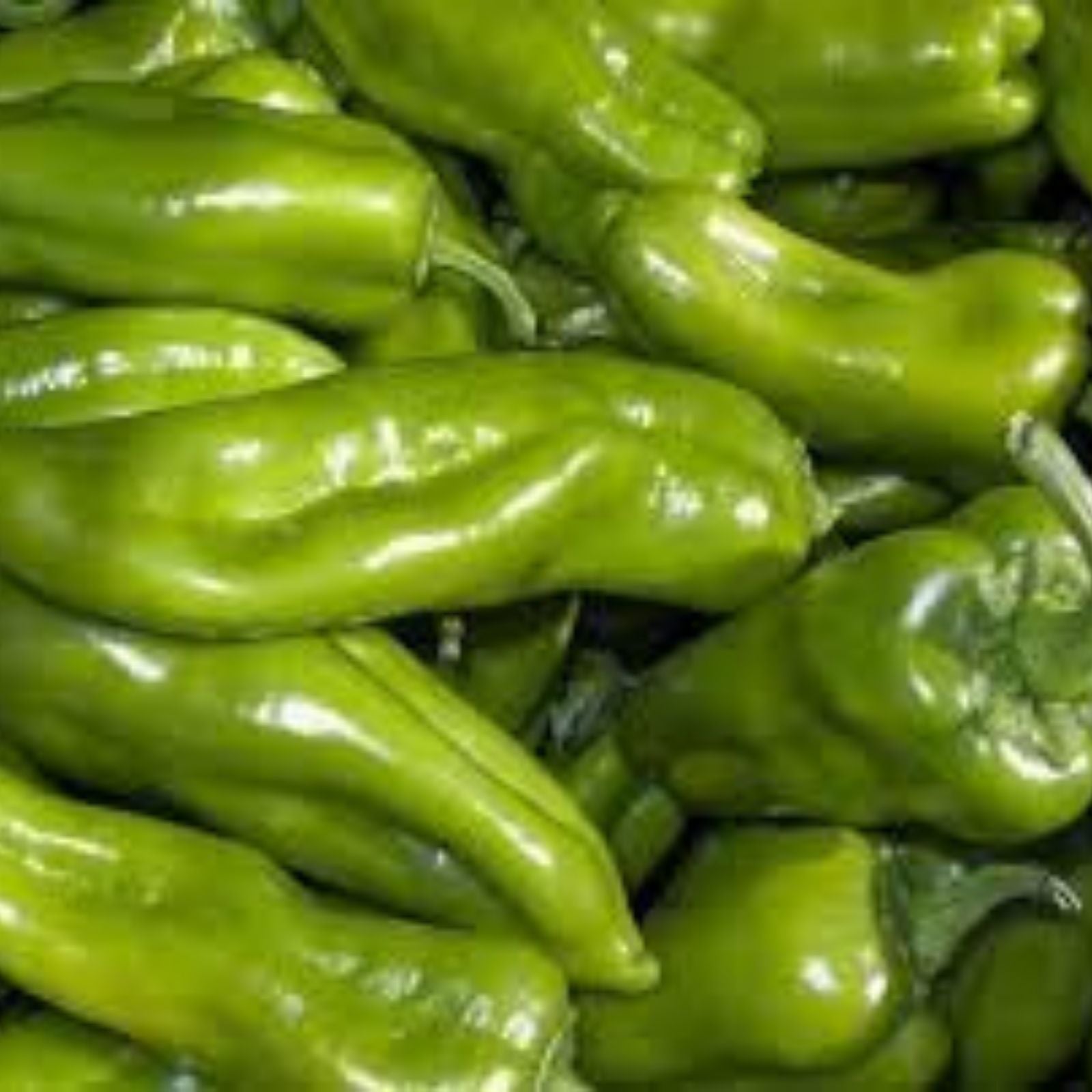 Organic Cubanelle Italian Sweet Frying Pepper Seeds - 50 Pack, Capsicum annuum, USA Grown, Non-GMO, Heirloom, Free Shipping